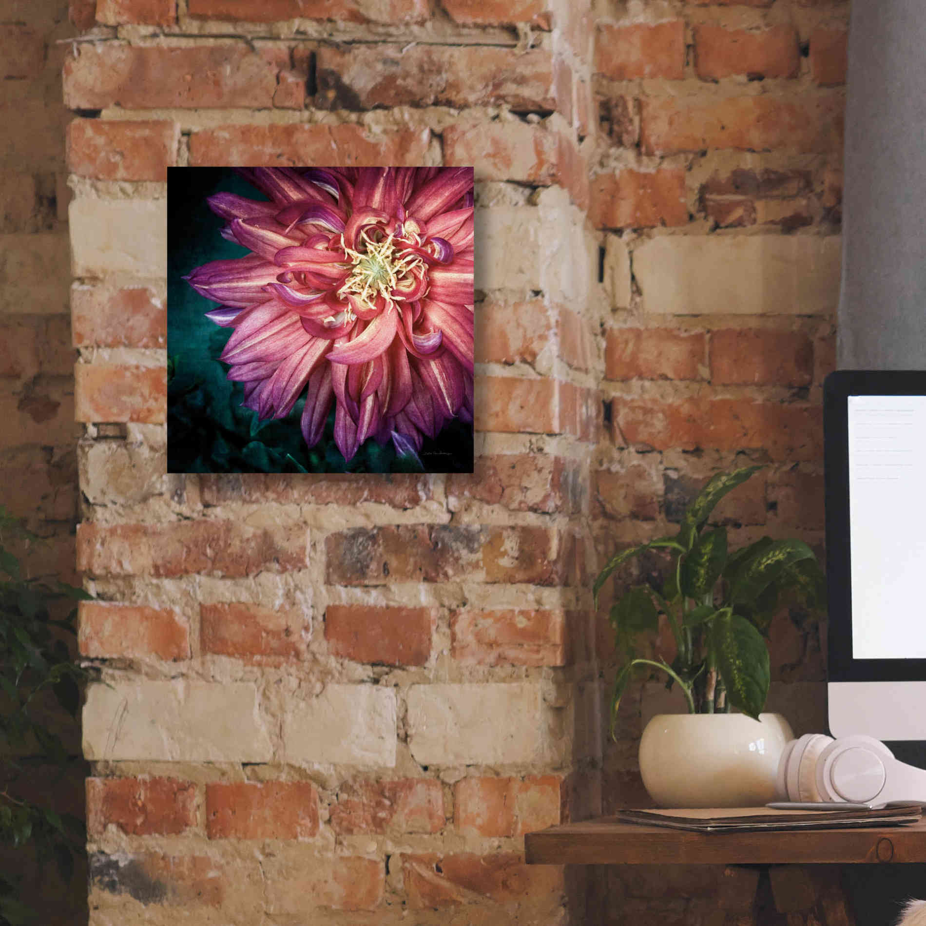 'Dahlia II' by Debra Van Swearingen, Canvas Wall Art,12 x 12