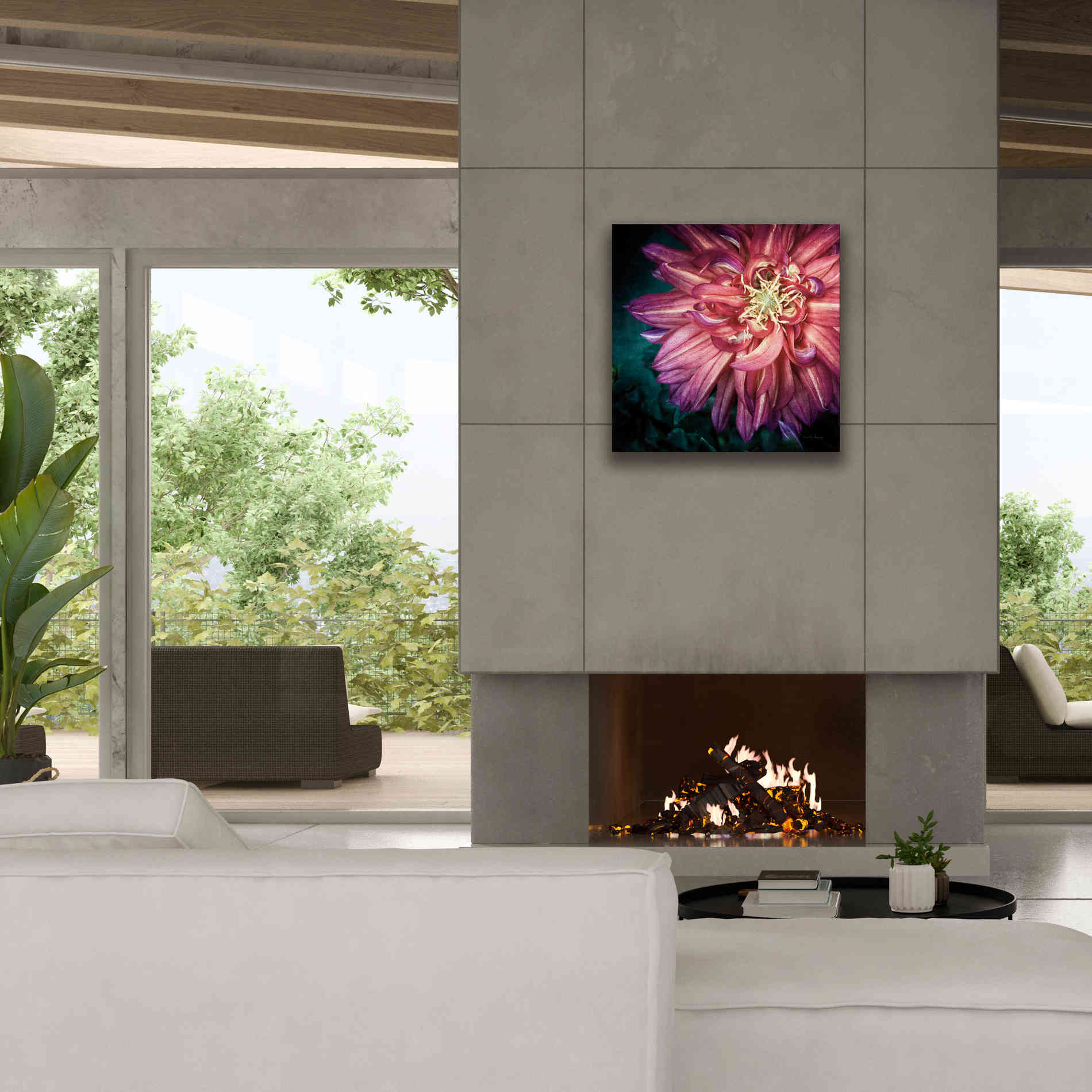 'Dahlia II' by Debra Van Swearingen, Canvas Wall Art,26 x 26