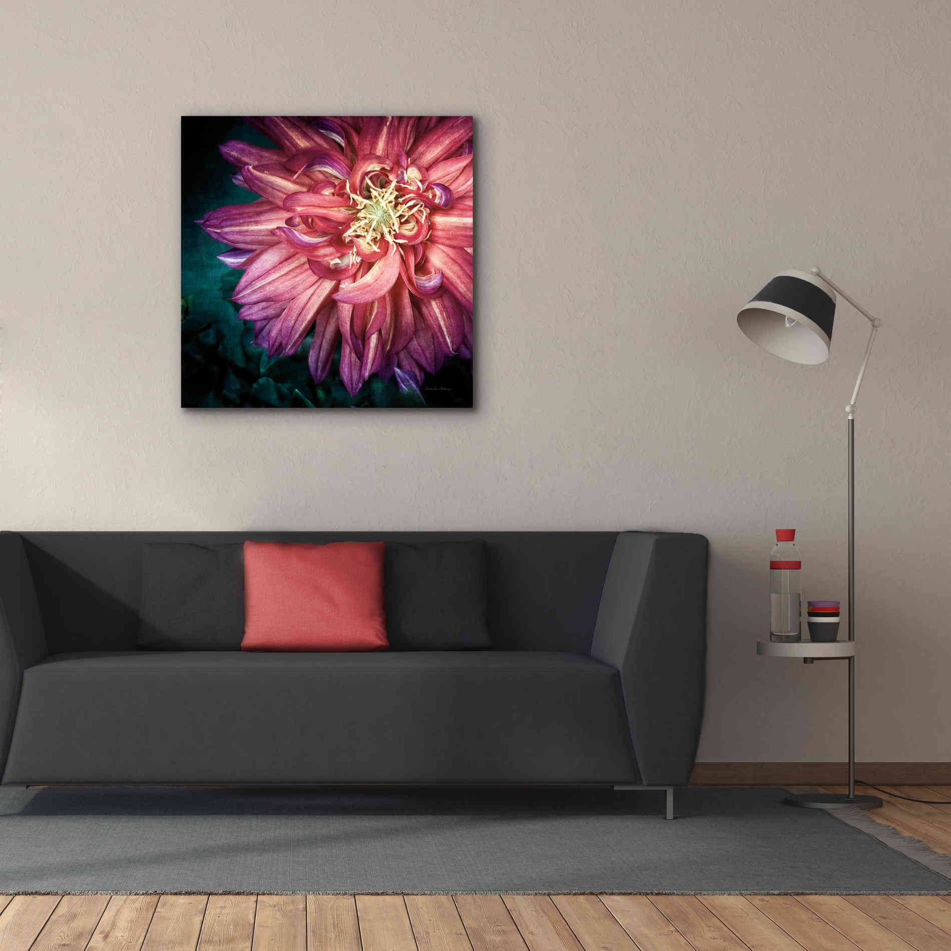 'Dahlia II' by Debra Van Swearingen, Canvas Wall Art,37 x 37