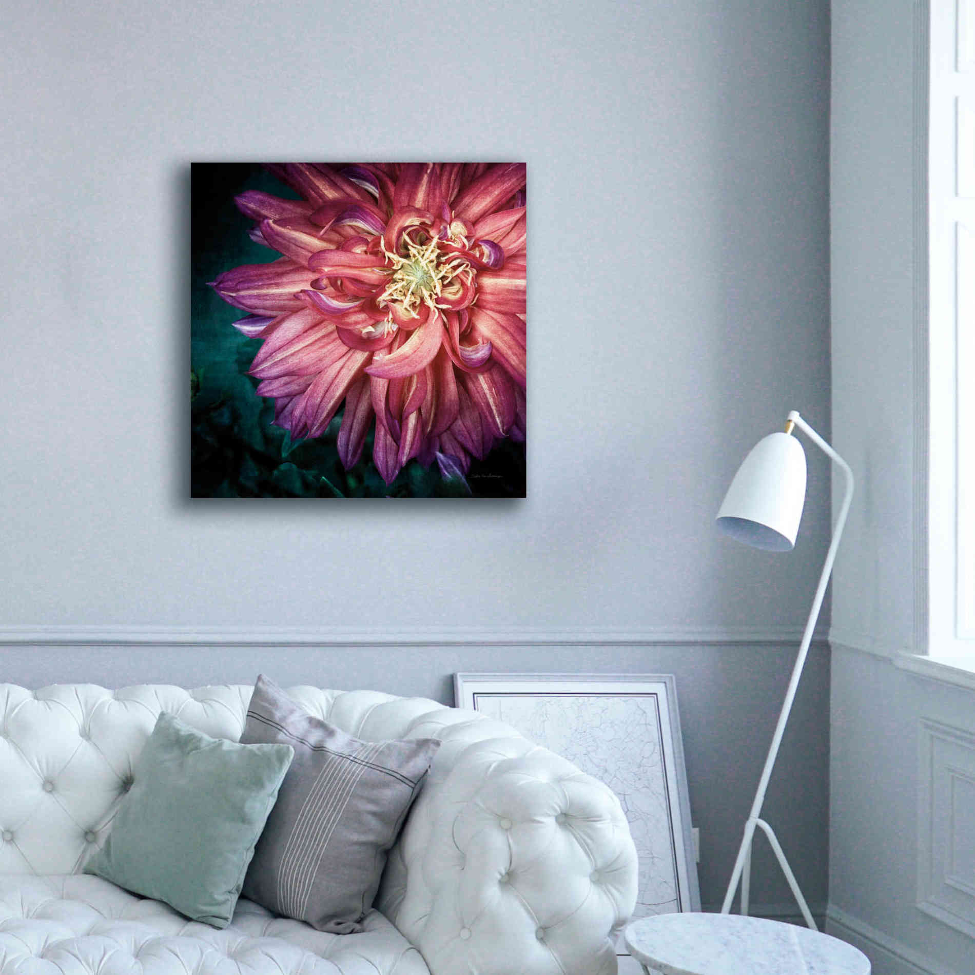 'Dahlia II' by Debra Van Swearingen, Canvas Wall Art,37 x 37