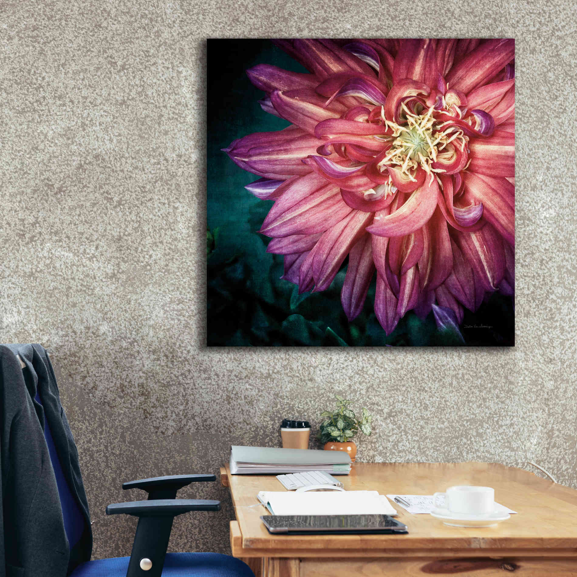 'Dahlia II' by Debra Van Swearingen, Canvas Wall Art,37 x 37