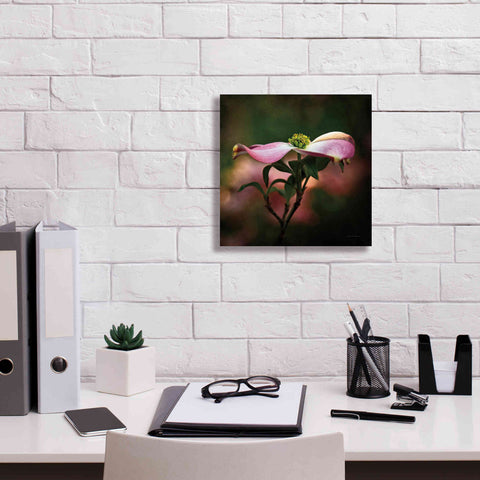 Image of 'Pink Dogwood I' by Debra Van Swearingen, Canvas Wall Art,12 x 12