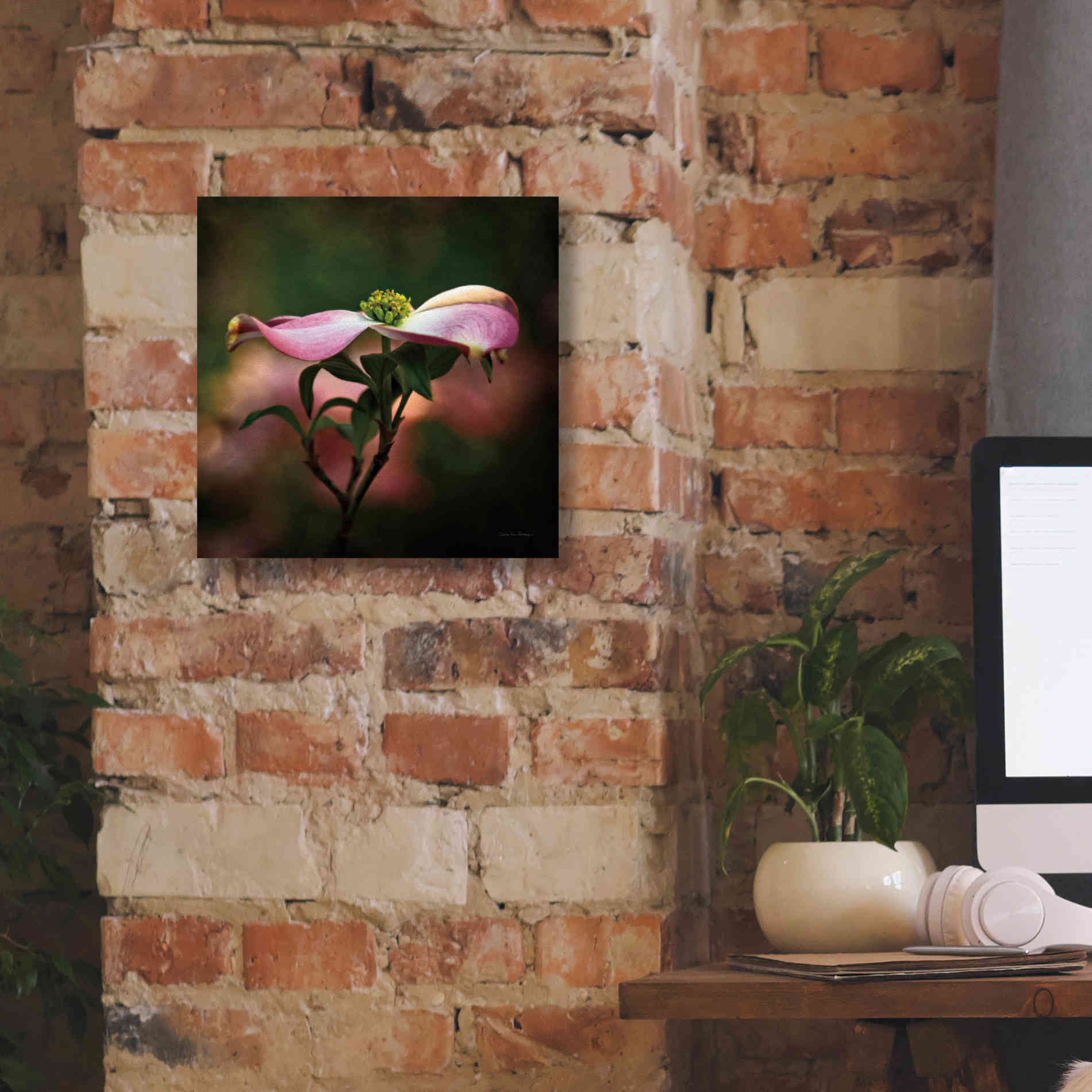 'Pink Dogwood I' by Debra Van Swearingen, Canvas Wall Art,12 x 12