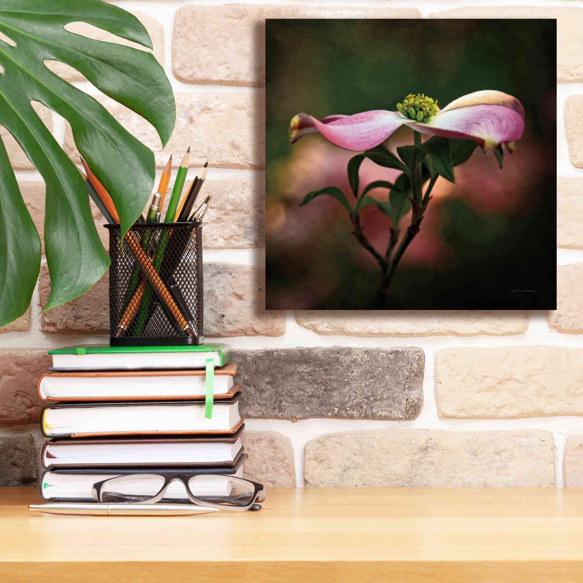 'Pink Dogwood I' by Debra Van Swearingen, Canvas Wall Art,12 x 12