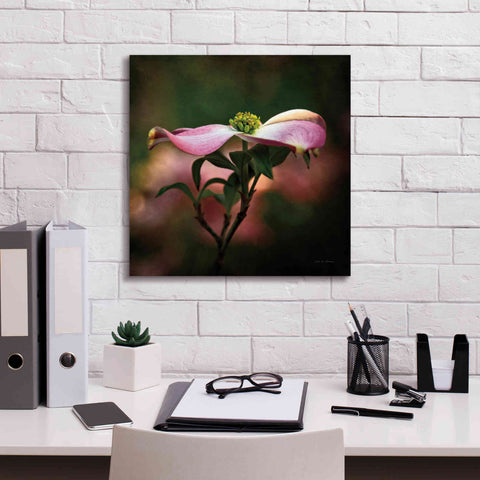 Image of 'Pink Dogwood I' by Debra Van Swearingen, Canvas Wall Art,18 x 18