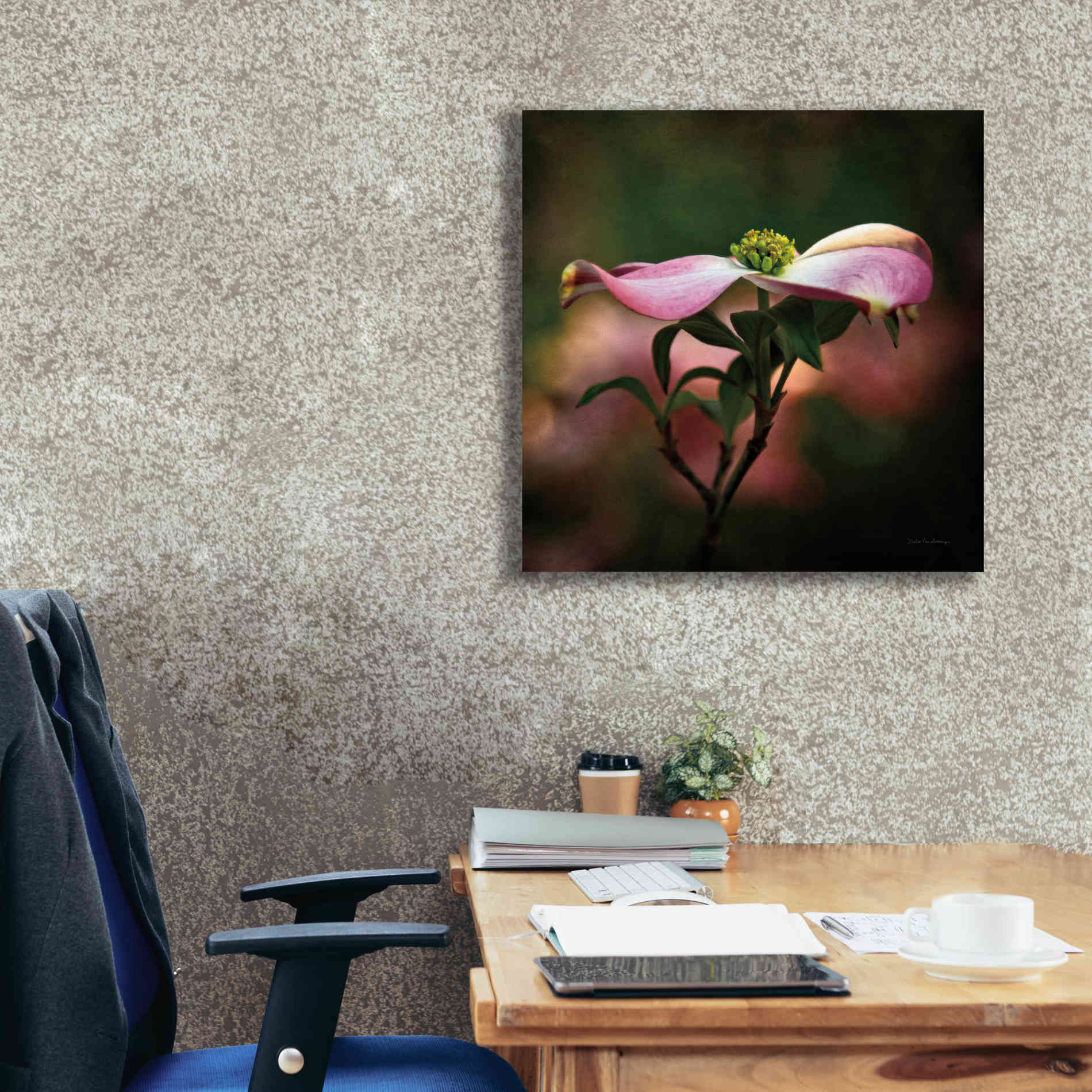 'Pink Dogwood I' by Debra Van Swearingen, Canvas Wall Art,26 x 26