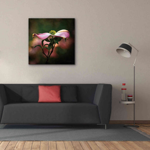 Image of 'Pink Dogwood I' by Debra Van Swearingen, Canvas Wall Art,37 x 37