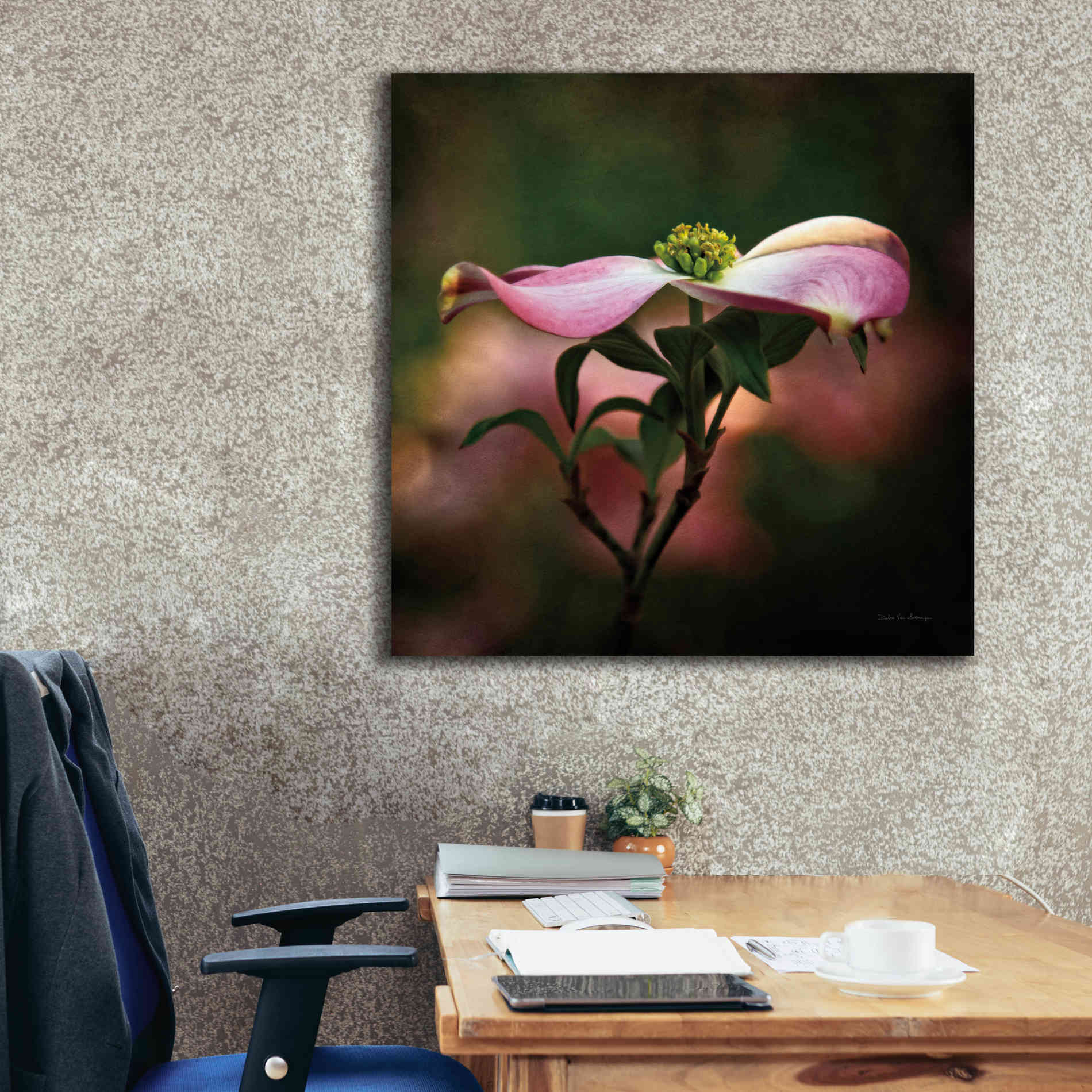 'Pink Dogwood I' by Debra Van Swearingen, Canvas Wall Art,37 x 37