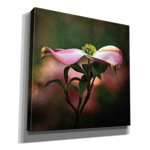 Image of 'Pink Dogwood I' by Debra Van Swearingen, Canvas Wall Art,12x12x1.1x0,18x18x1.1x0,26x26x1.74x0,37x37x1.74x0