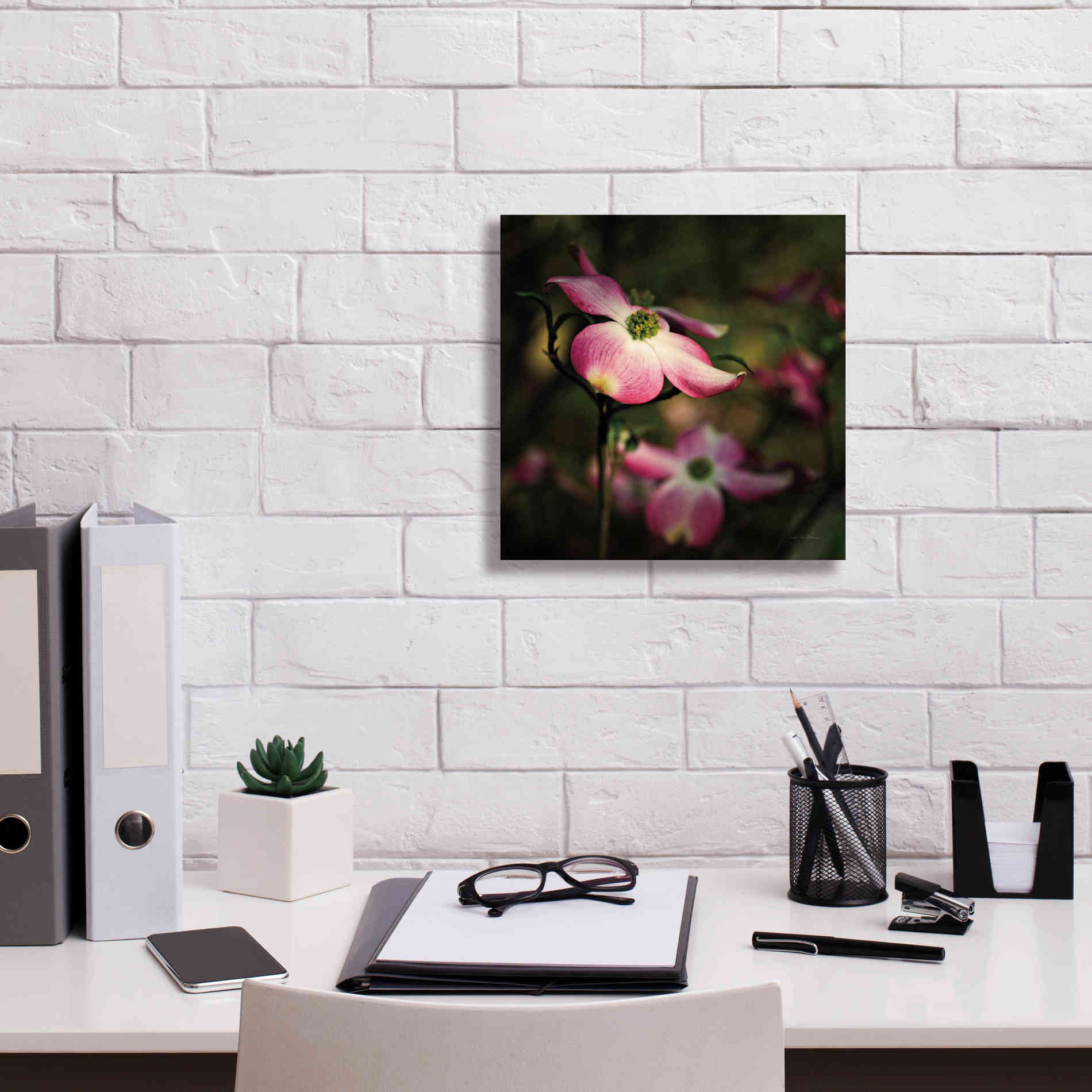 'Pink Dogwood II' by Debra Van Swearingen, Canvas Wall Art,12 x 12