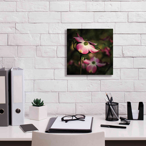 Image of 'Pink Dogwood II' by Debra Van Swearingen, Canvas Wall Art,12 x 12