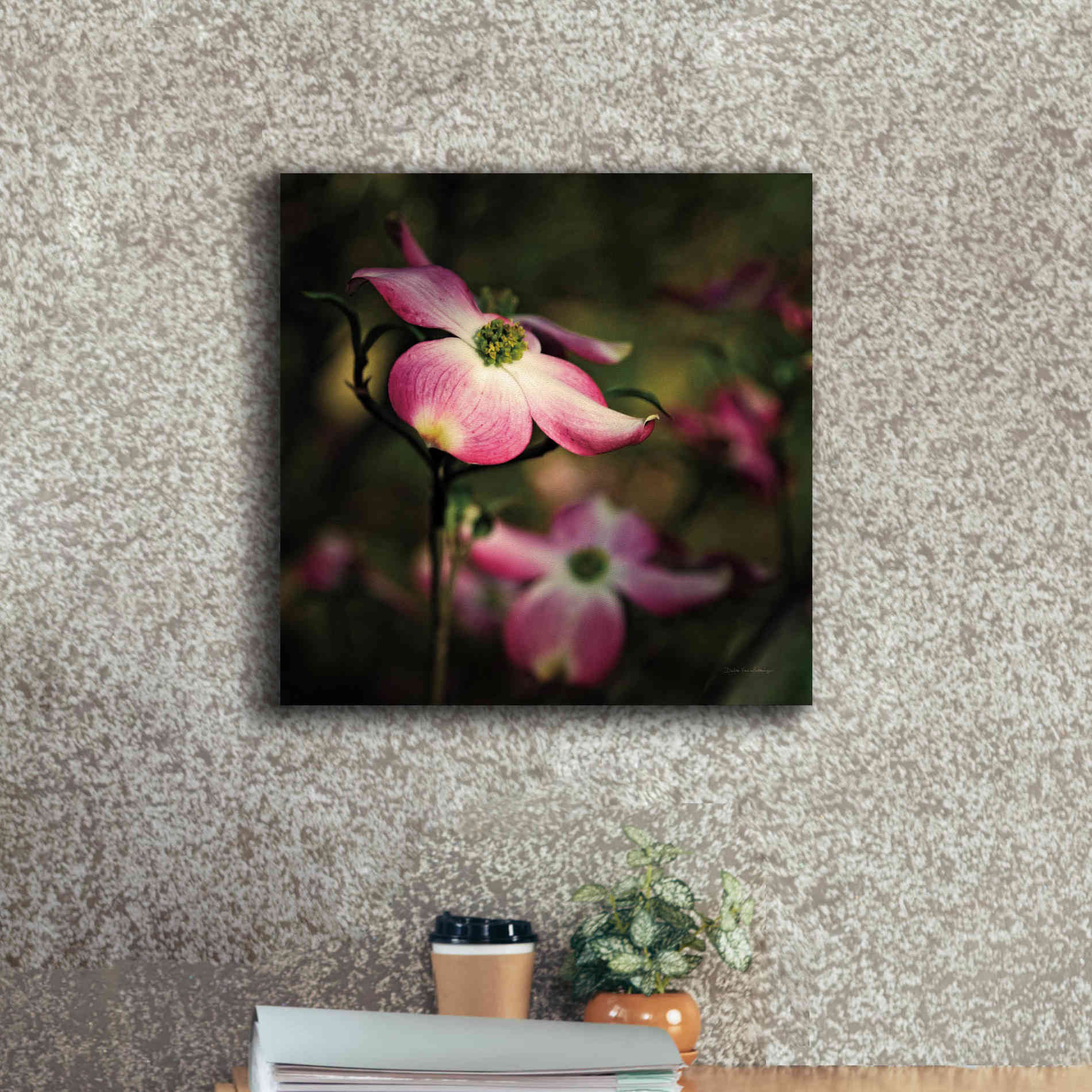 'Pink Dogwood II' by Debra Van Swearingen, Canvas Wall Art,18 x 18