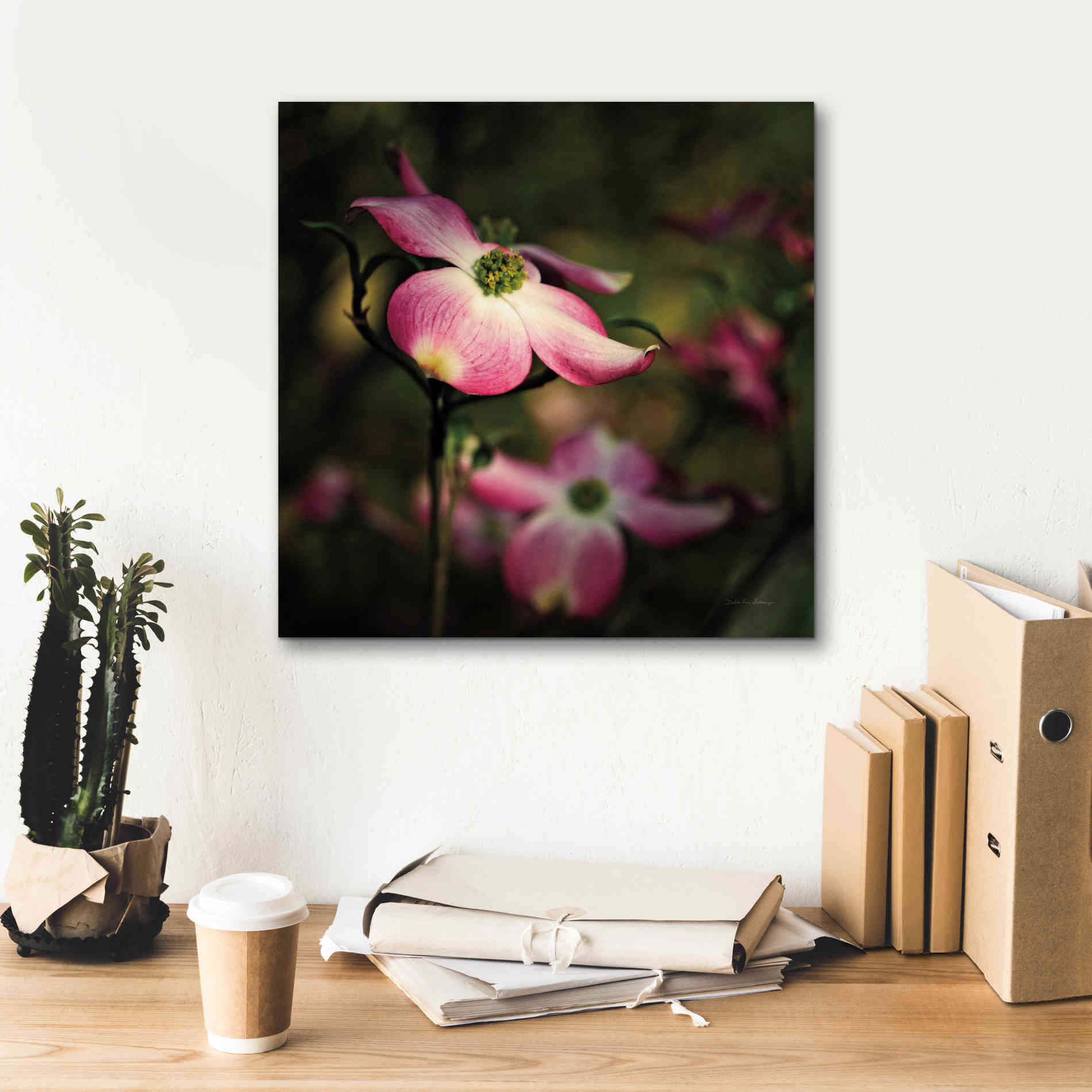 'Pink Dogwood II' by Debra Van Swearingen, Canvas Wall Art,18 x 18