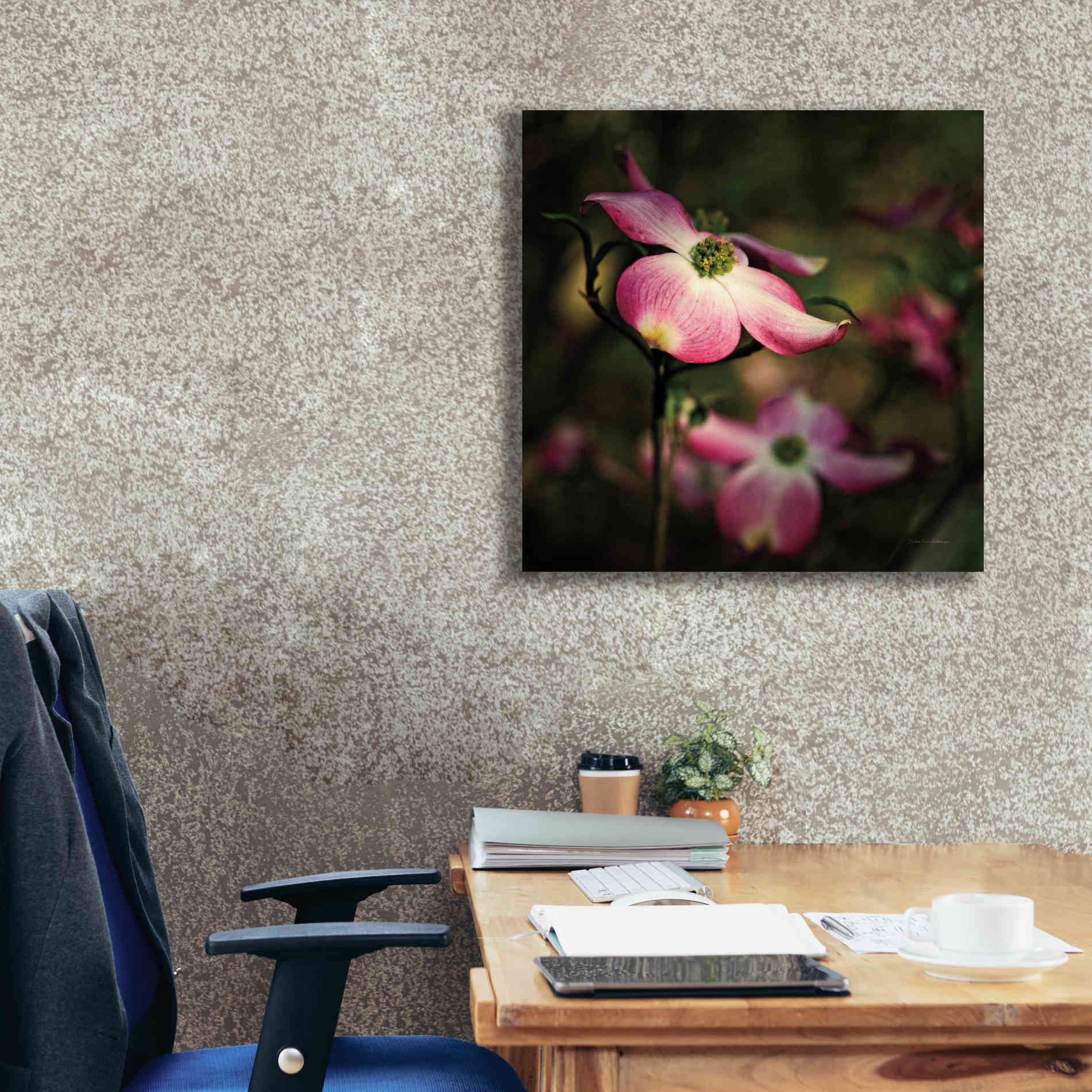 'Pink Dogwood II' by Debra Van Swearingen, Canvas Wall Art,26 x 26
