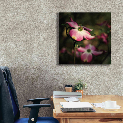 Image of 'Pink Dogwood II' by Debra Van Swearingen, Canvas Wall Art,26 x 26