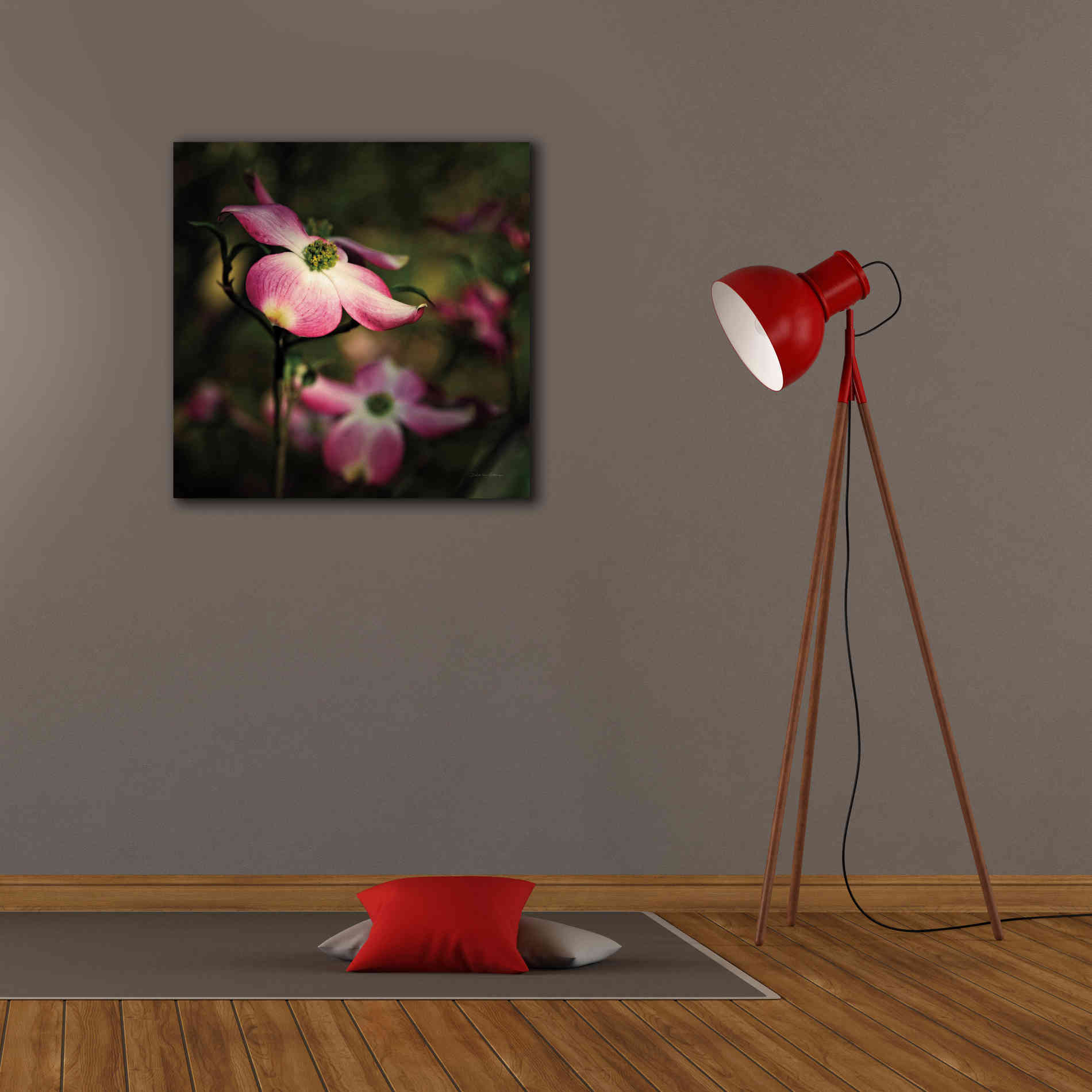 'Pink Dogwood II' by Debra Van Swearingen, Canvas Wall Art,26 x 26