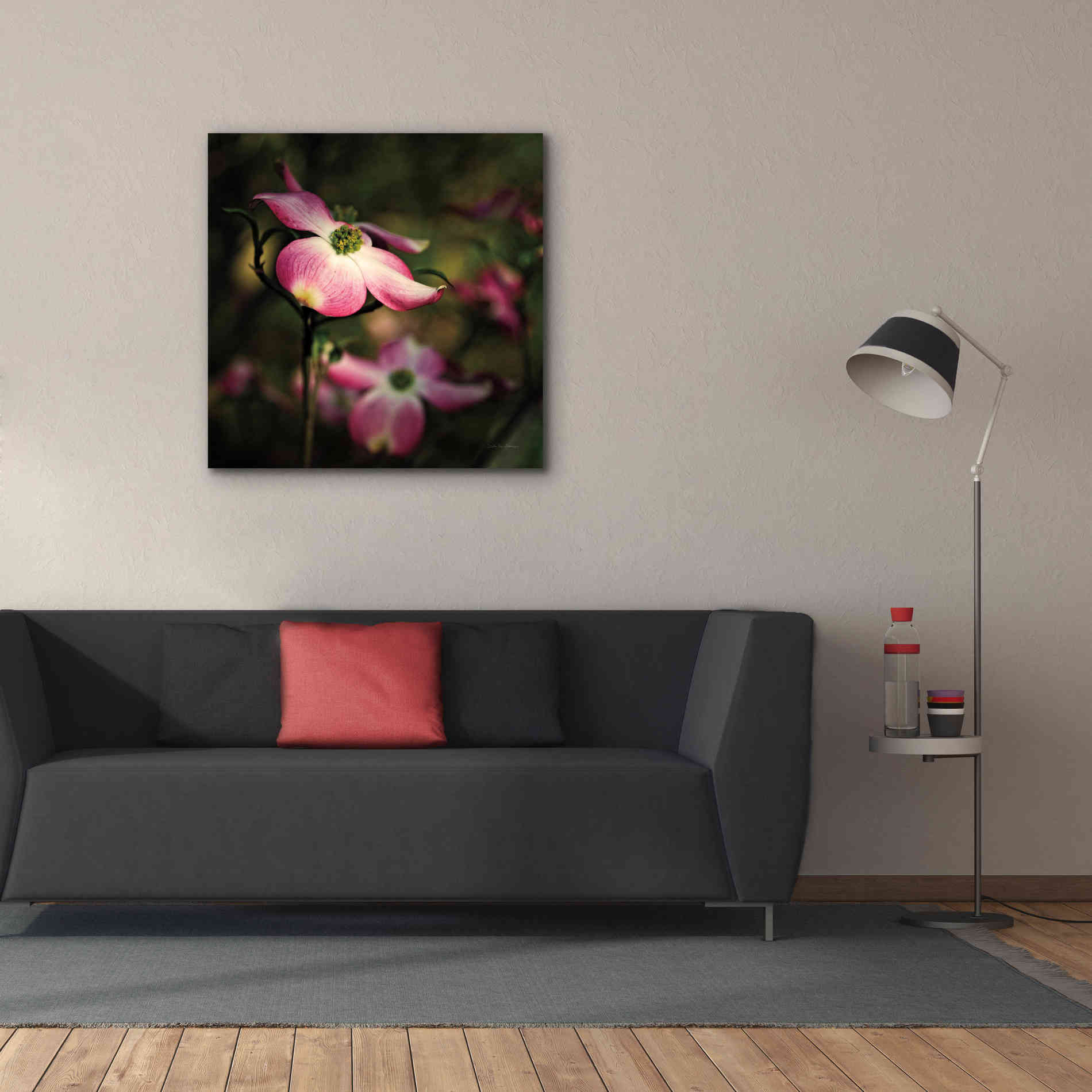 'Pink Dogwood II' by Debra Van Swearingen, Canvas Wall Art,37 x 37