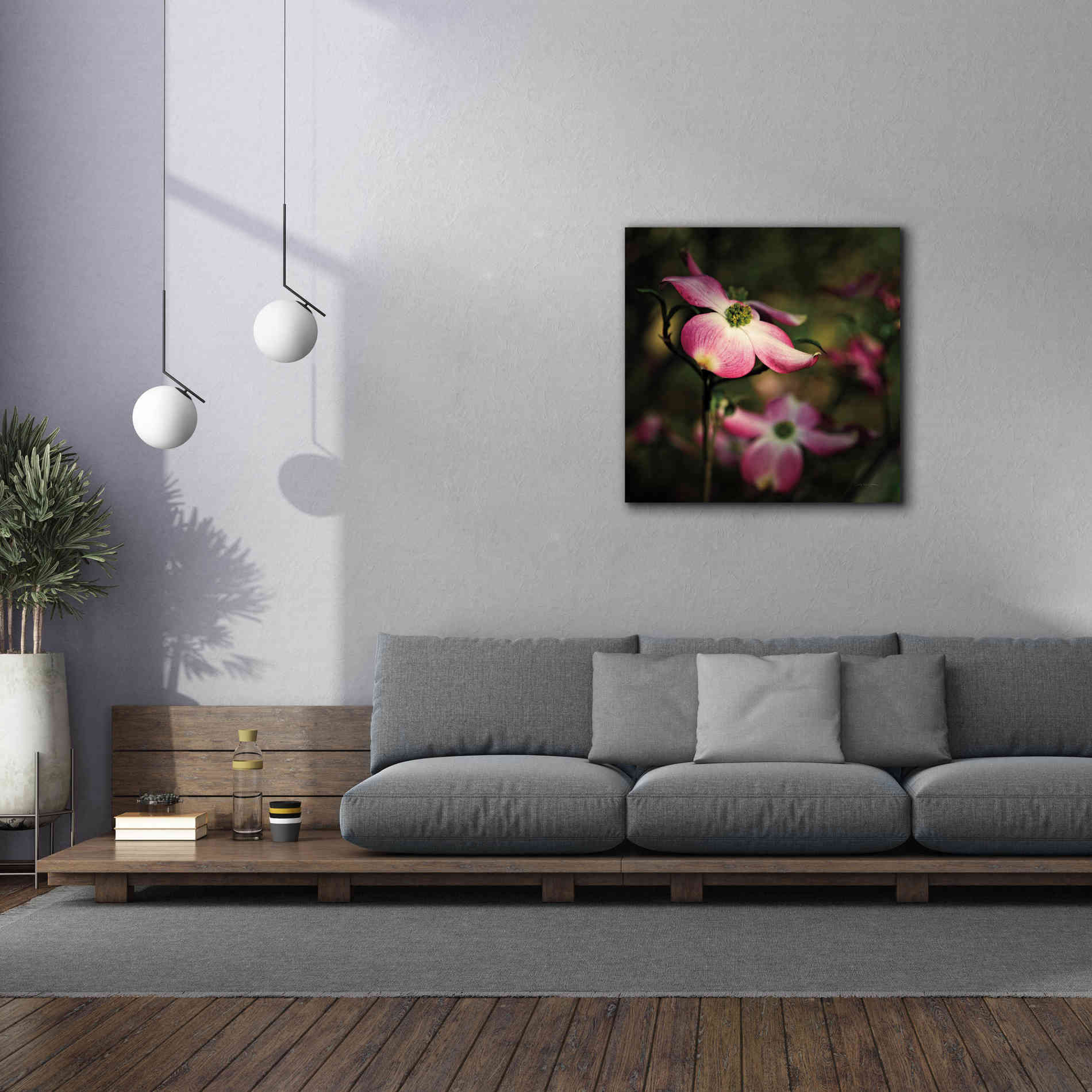 'Pink Dogwood II' by Debra Van Swearingen, Canvas Wall Art,37 x 37