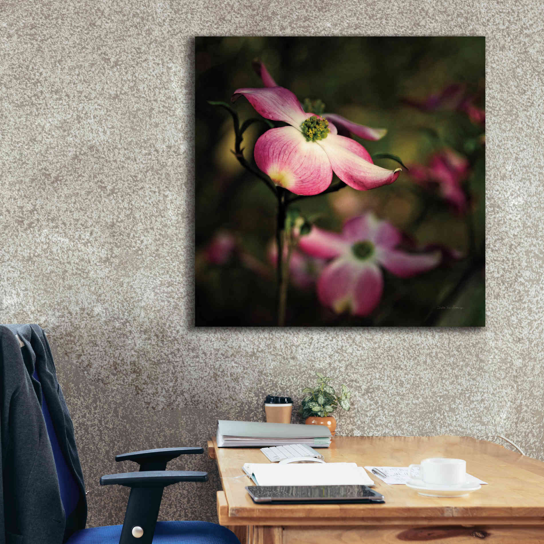 'Pink Dogwood II' by Debra Van Swearingen, Canvas Wall Art,37 x 37
