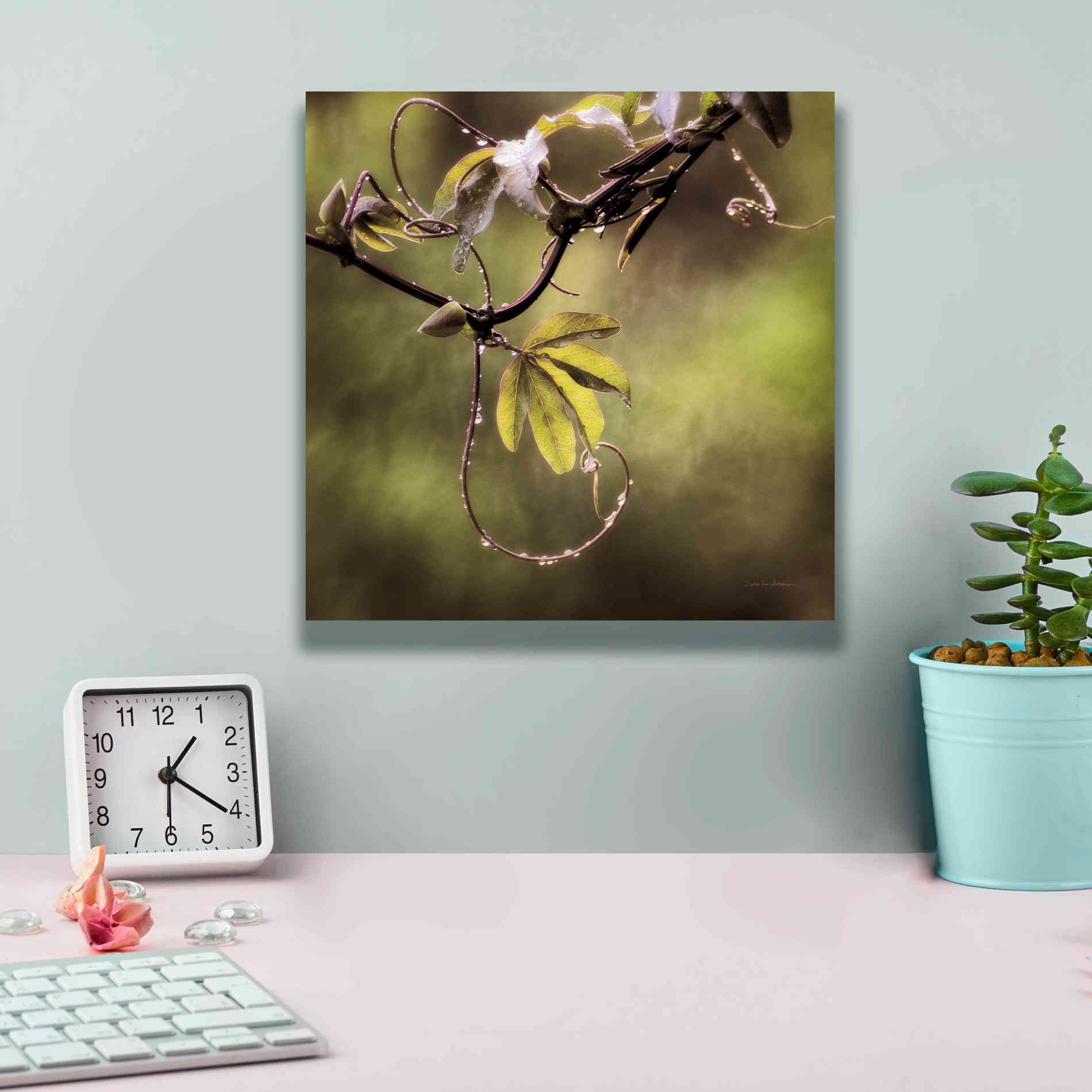 'Passion Flower Vine I' by Debra Van Swearingen, Canvas Wall Art,12 x 12