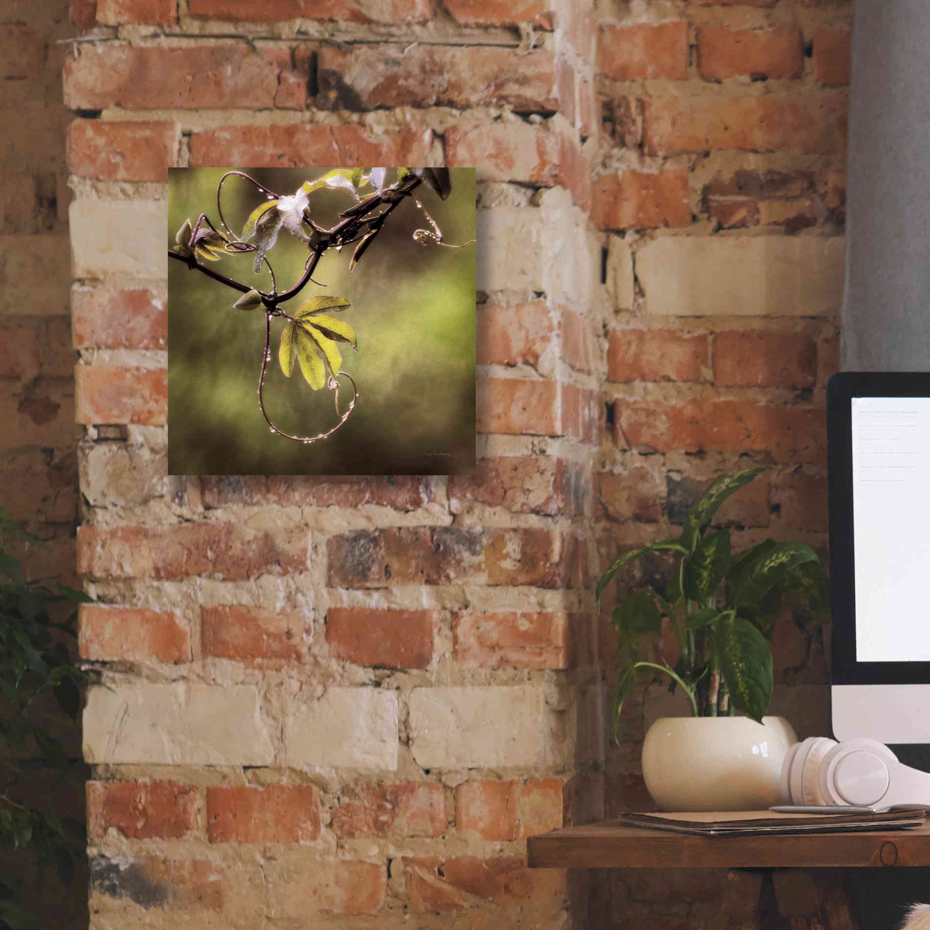 'Passion Flower Vine I' by Debra Van Swearingen, Canvas Wall Art,12 x 12