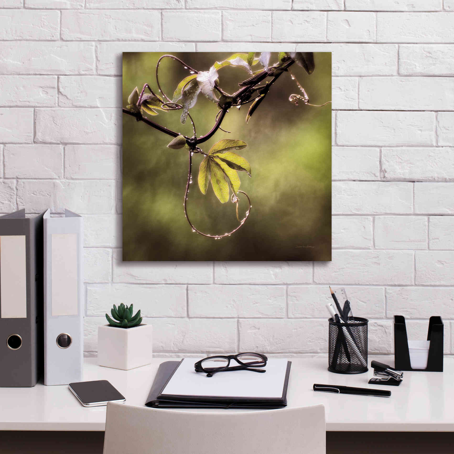 'Passion Flower Vine I' by Debra Van Swearingen, Canvas Wall Art,18 x 18