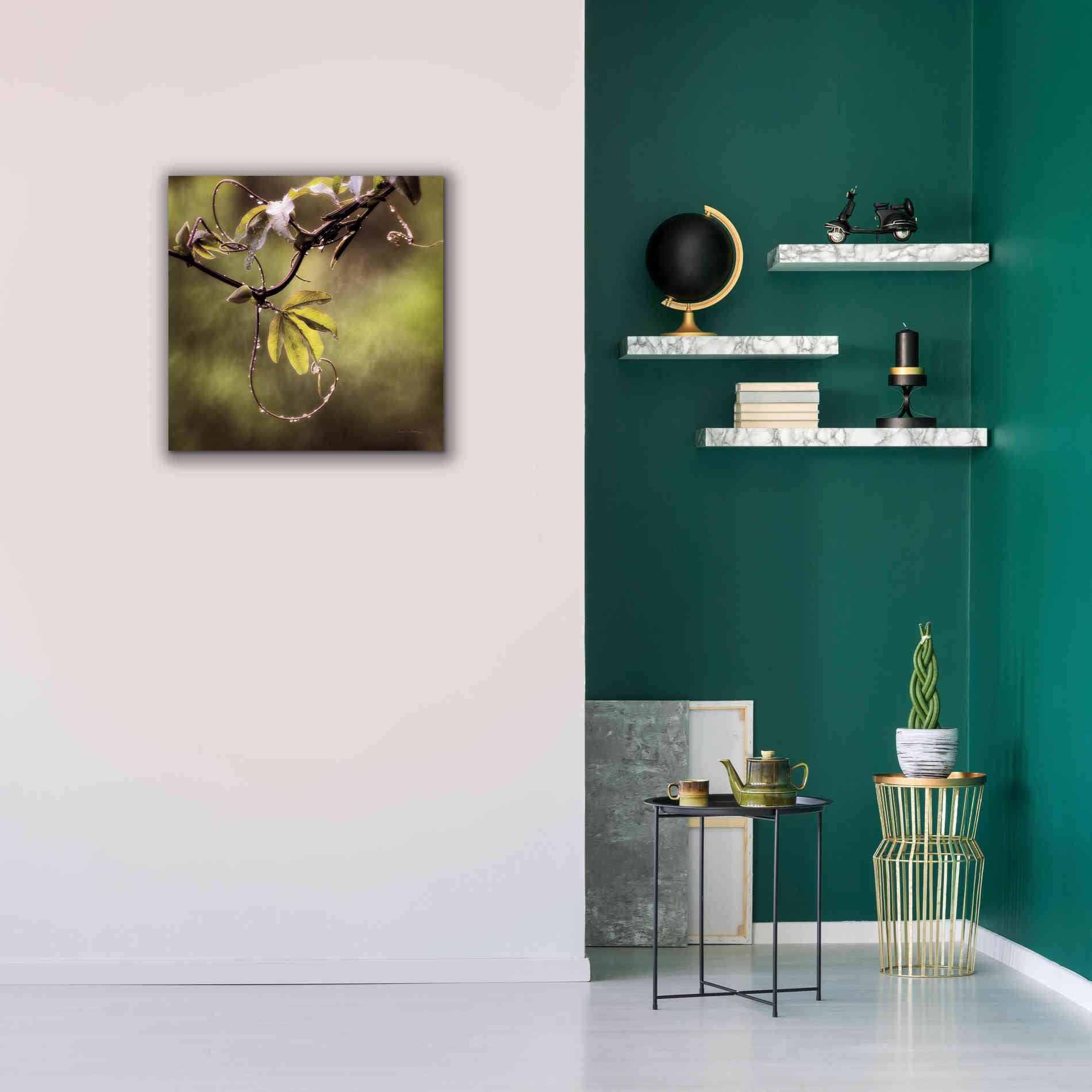 'Passion Flower Vine I' by Debra Van Swearingen, Canvas Wall Art,26 x 26
