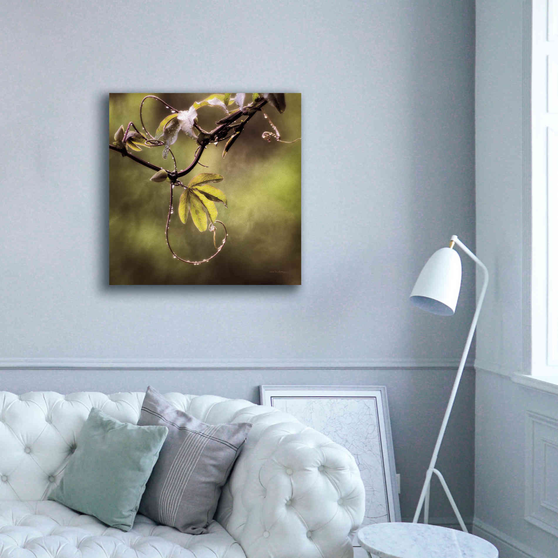 'Passion Flower Vine I' by Debra Van Swearingen, Canvas Wall Art,37 x 37