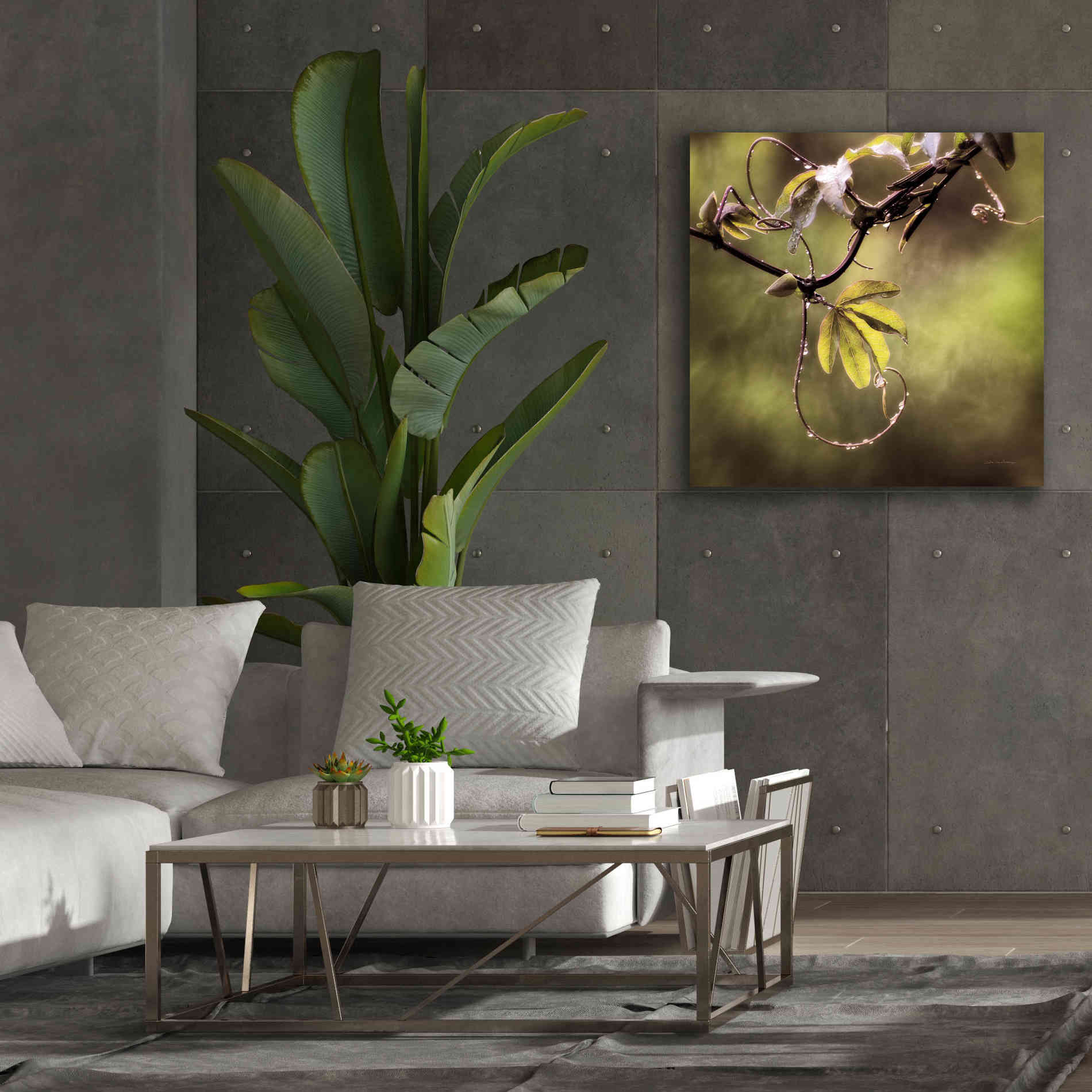 'Passion Flower Vine I' by Debra Van Swearingen, Canvas Wall Art,37 x 37