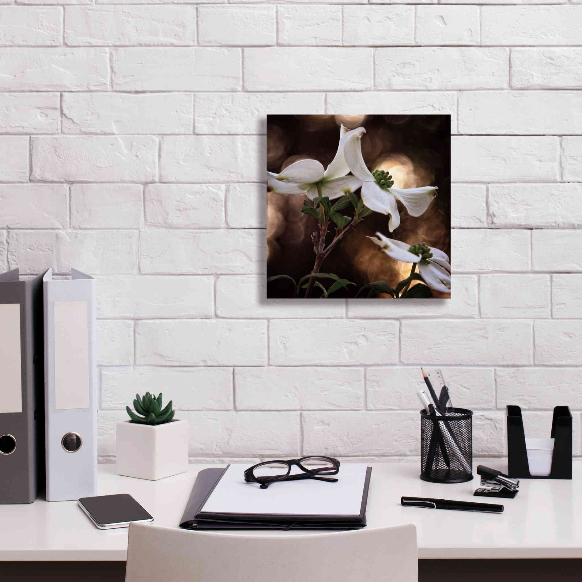 'White Dogwood I' by Debra Van Swearingen, Canvas Wall Art,12 x 12