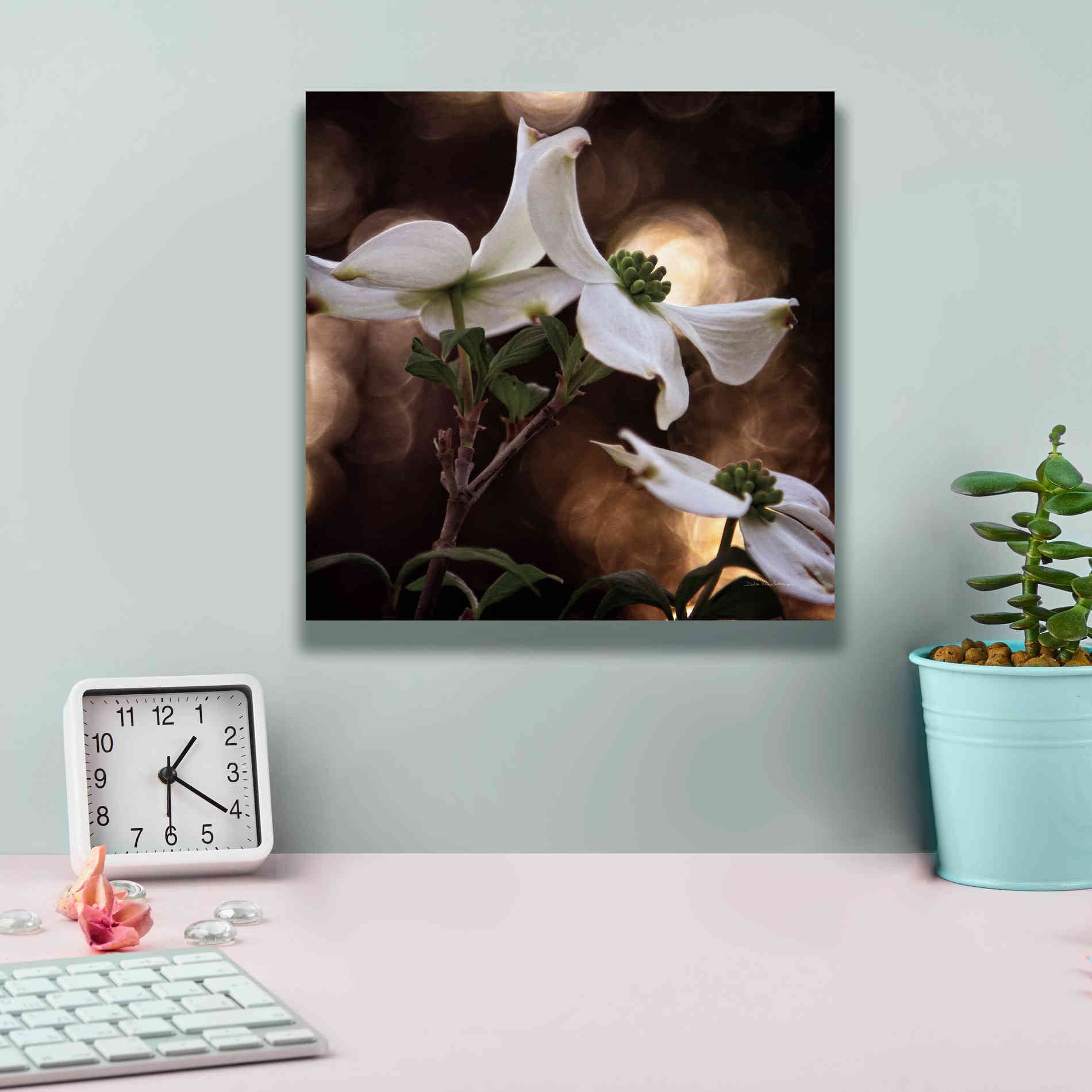 'White Dogwood I' by Debra Van Swearingen, Canvas Wall Art,12 x 12