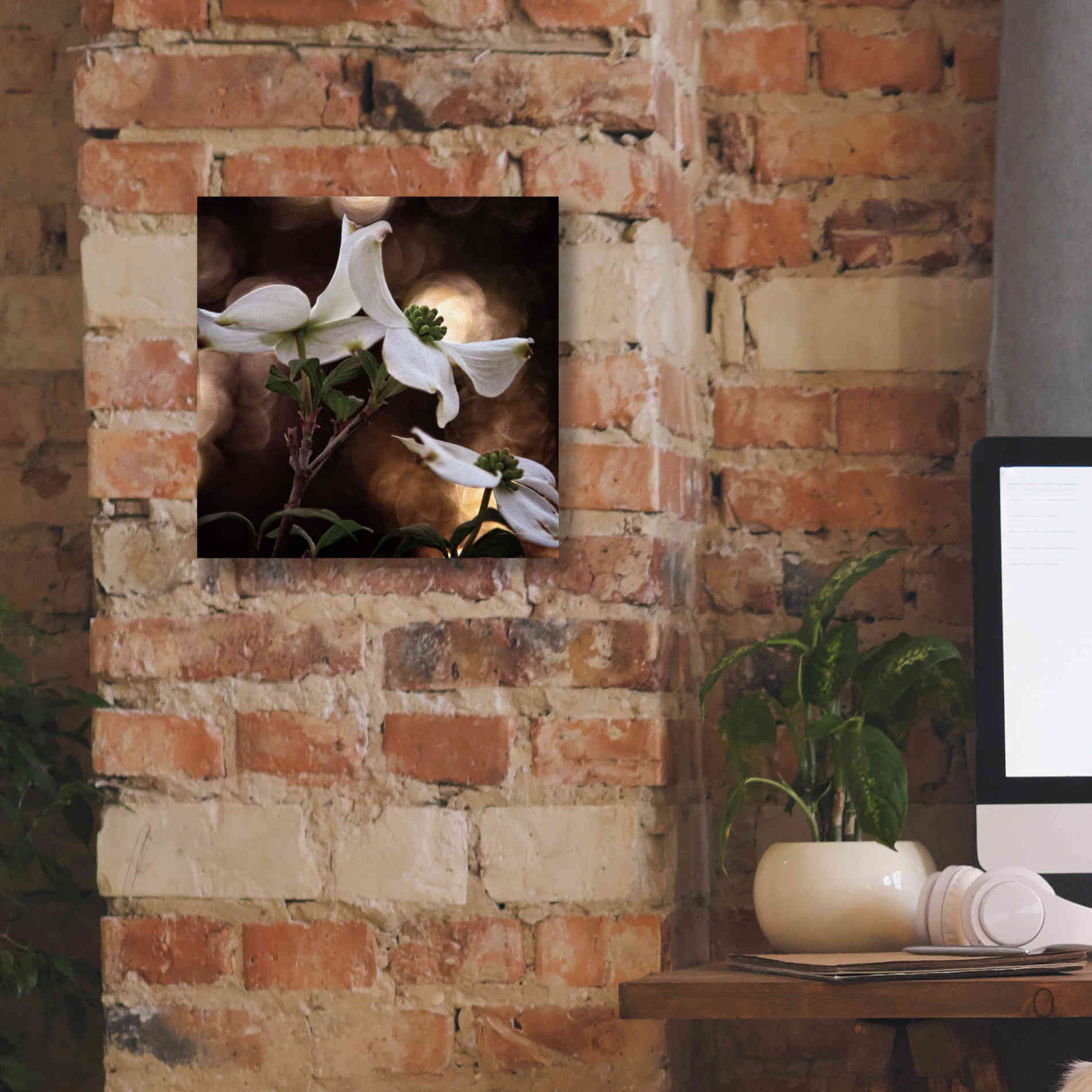 'White Dogwood I' by Debra Van Swearingen, Canvas Wall Art,12 x 12