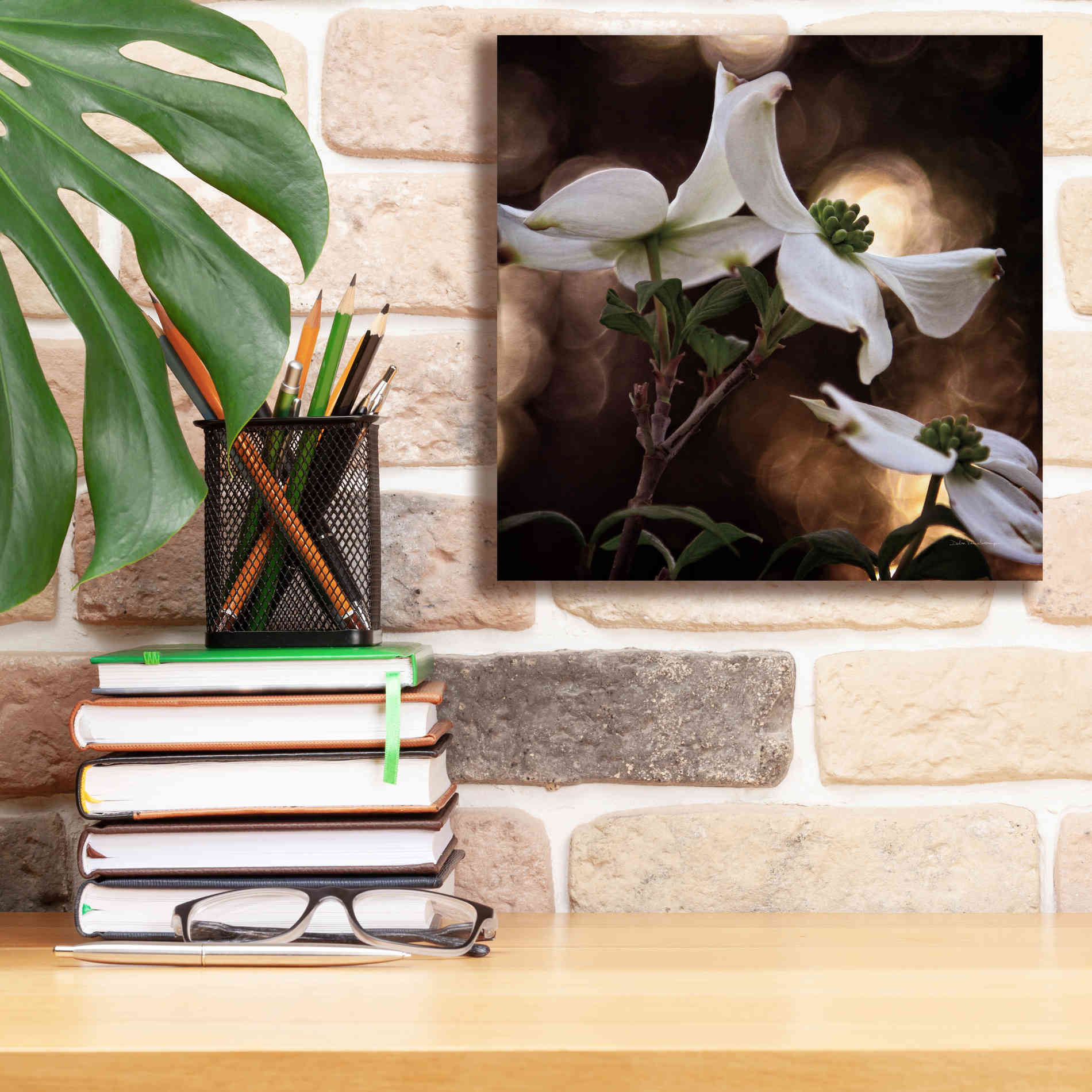 'White Dogwood I' by Debra Van Swearingen, Canvas Wall Art,12 x 12