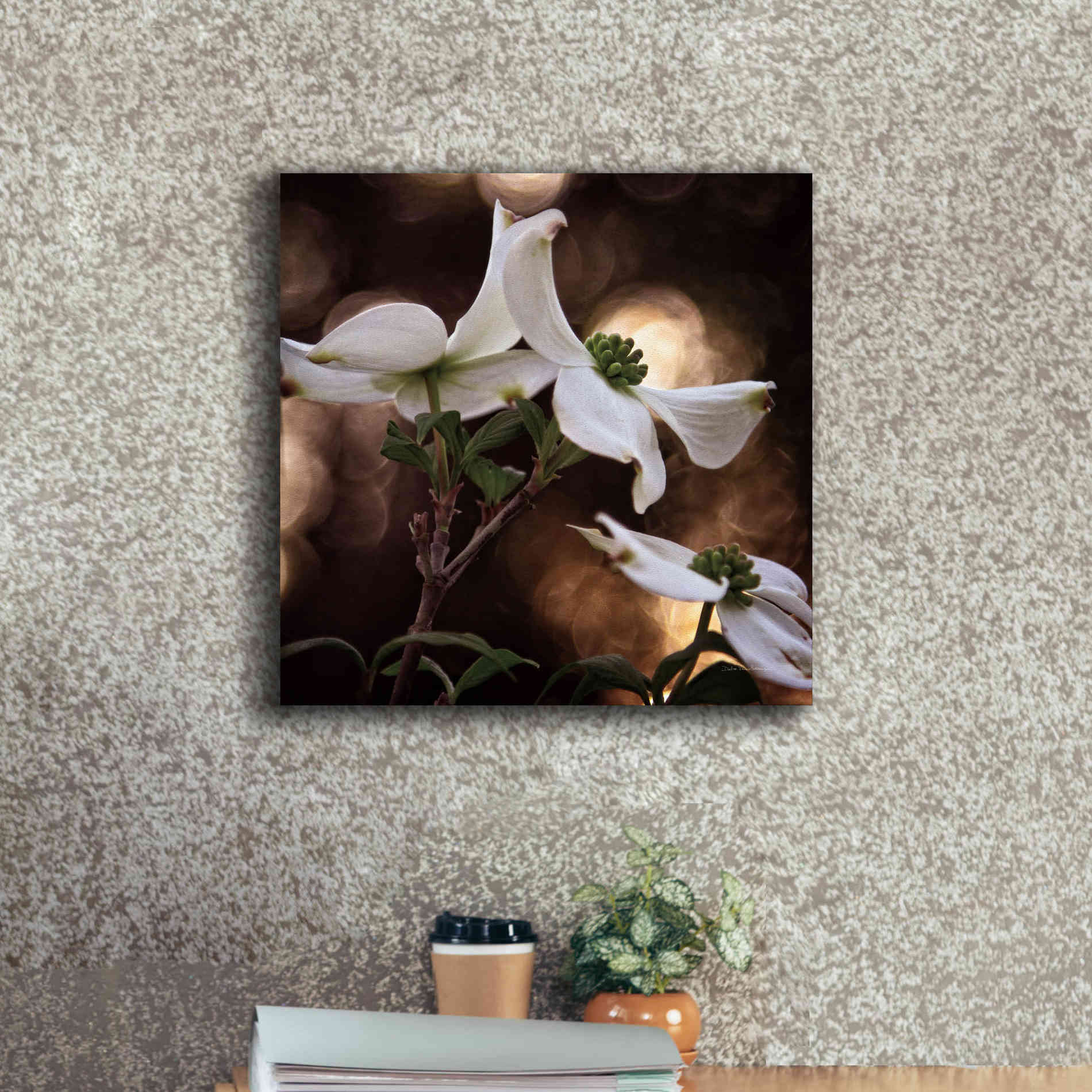 'White Dogwood I' by Debra Van Swearingen, Canvas Wall Art,18 x 18
