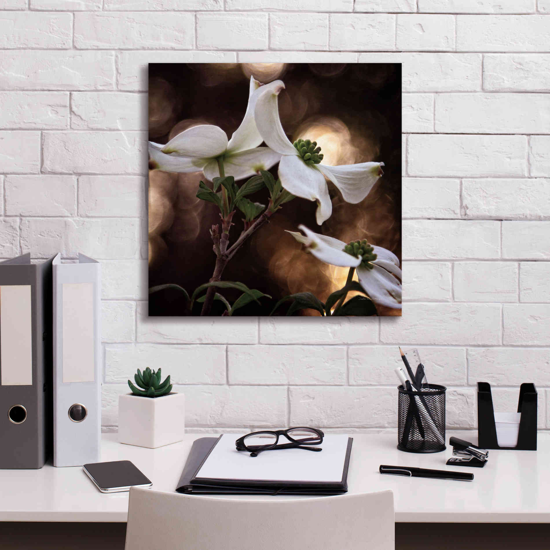 'White Dogwood I' by Debra Van Swearingen, Canvas Wall Art,18 x 18
