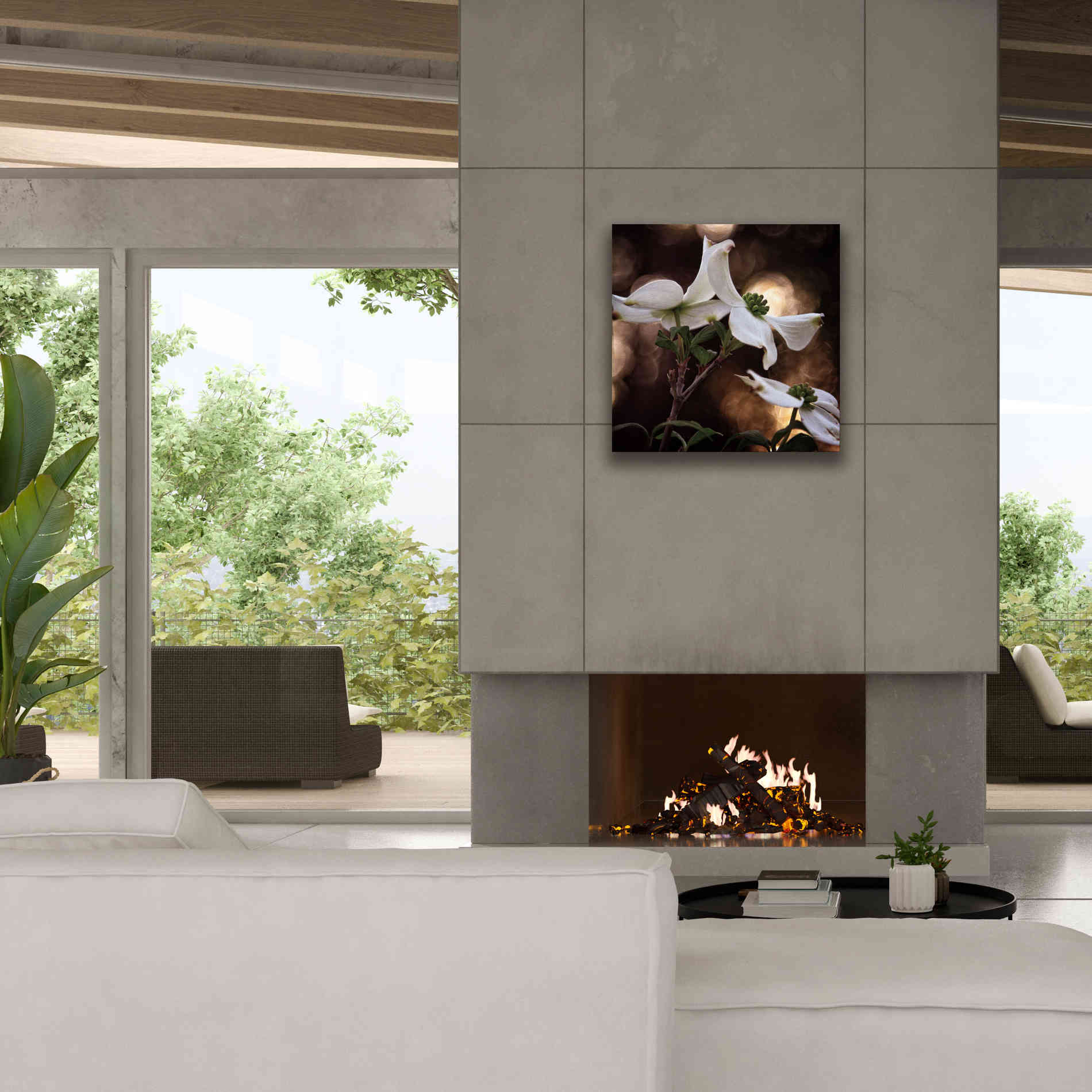 'White Dogwood I' by Debra Van Swearingen, Canvas Wall Art,26 x 26