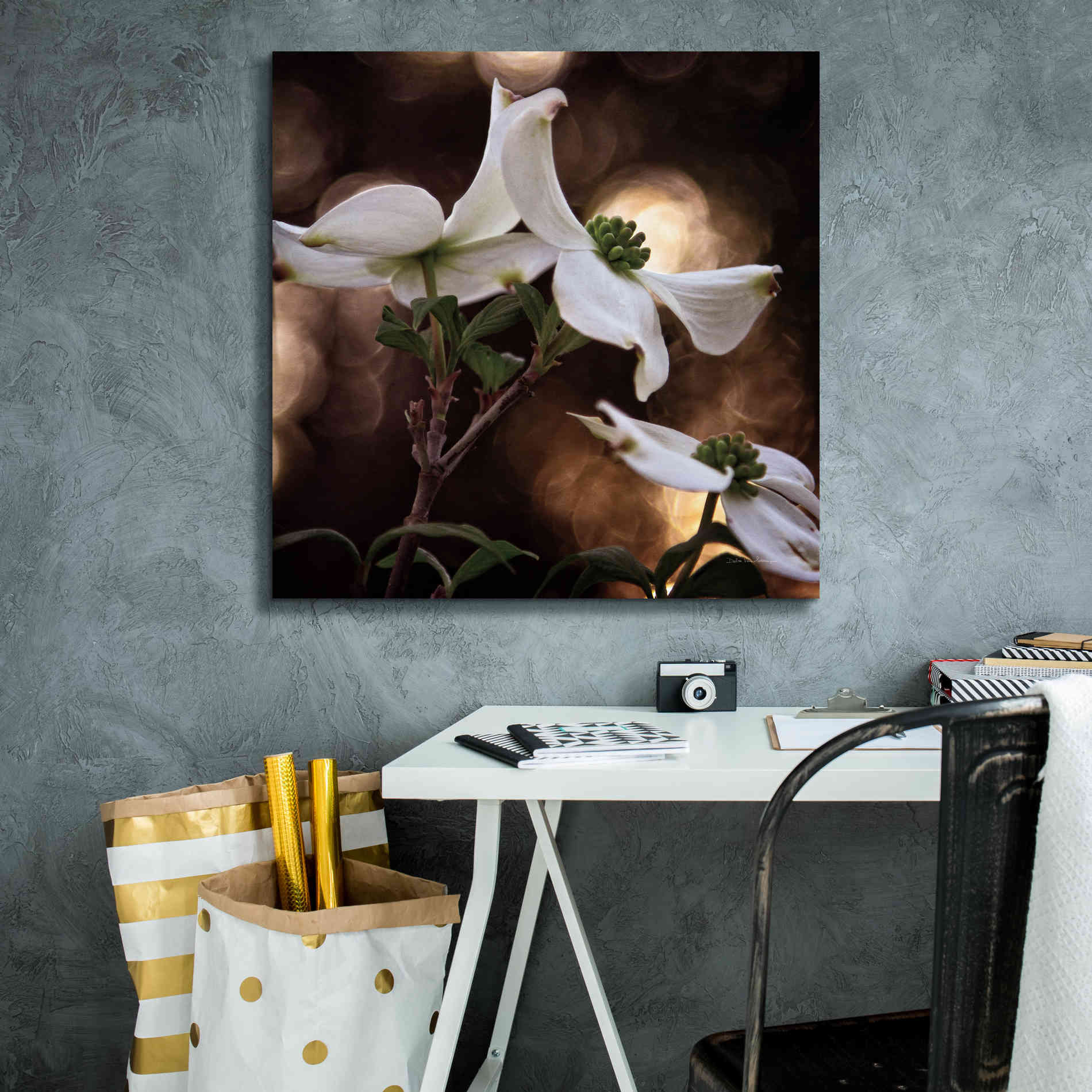 'White Dogwood I' by Debra Van Swearingen, Canvas Wall Art,26 x 26