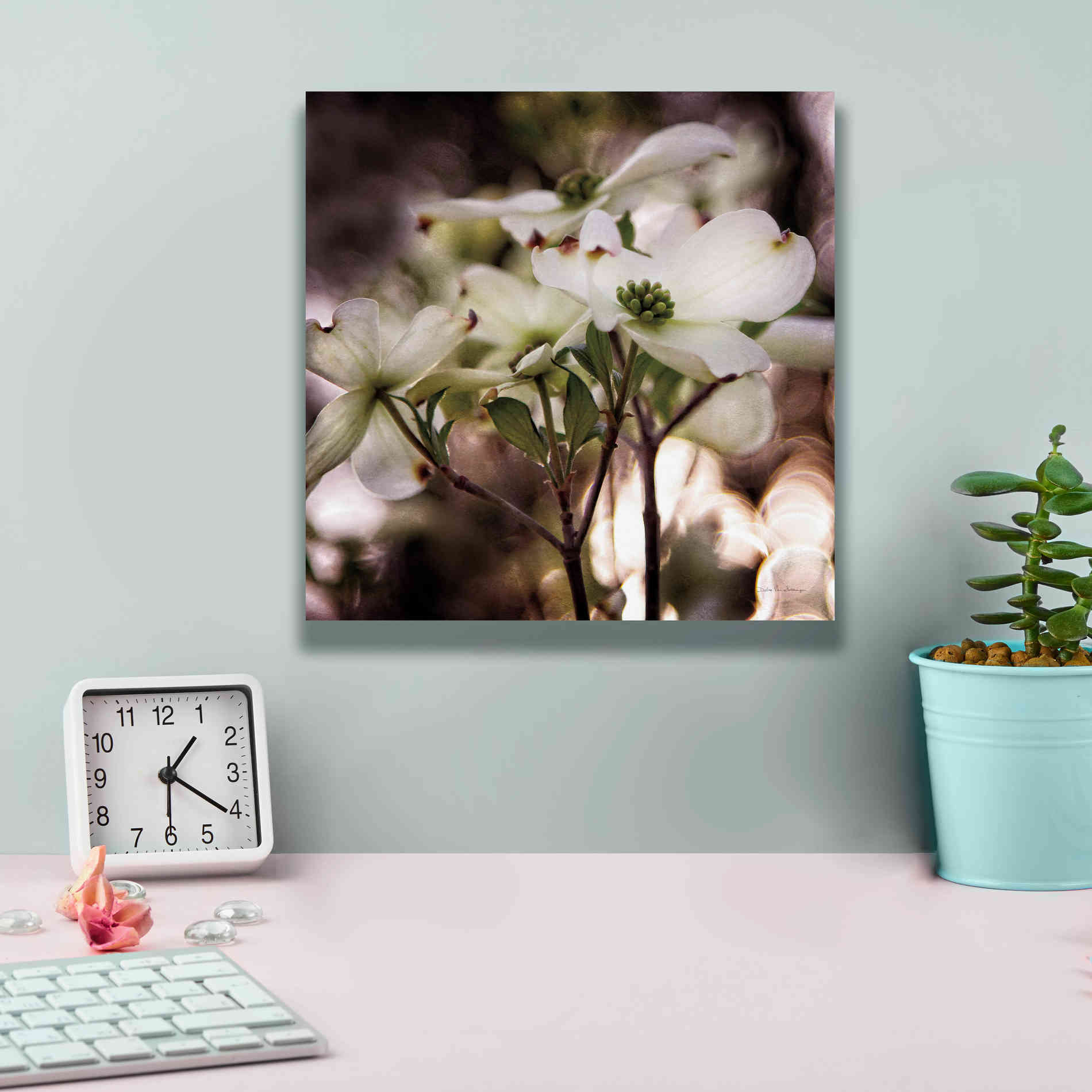 'White Dogwood II' by Debra Van Swearingen, Canvas Wall Art,12 x 12
