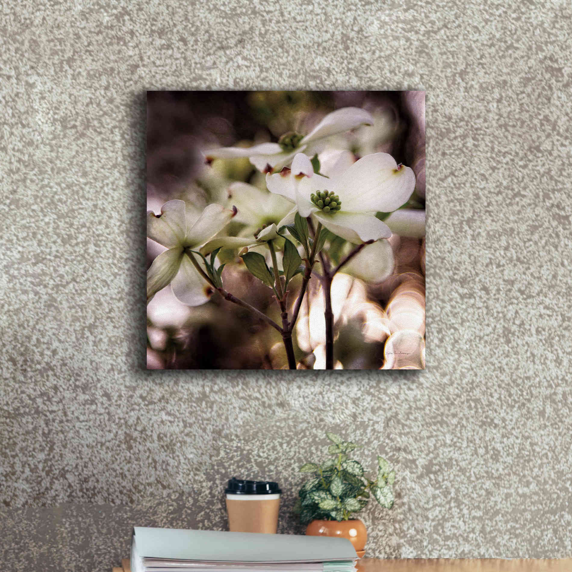 'White Dogwood II' by Debra Van Swearingen, Canvas Wall Art,18 x 18