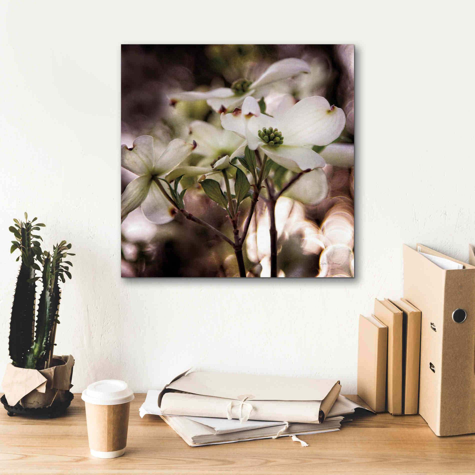 'White Dogwood II' by Debra Van Swearingen, Canvas Wall Art,18 x 18