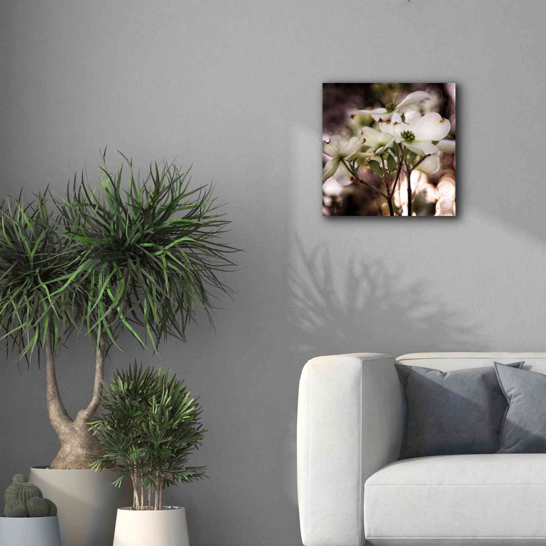 'White Dogwood II' by Debra Van Swearingen, Canvas Wall Art,18 x 18