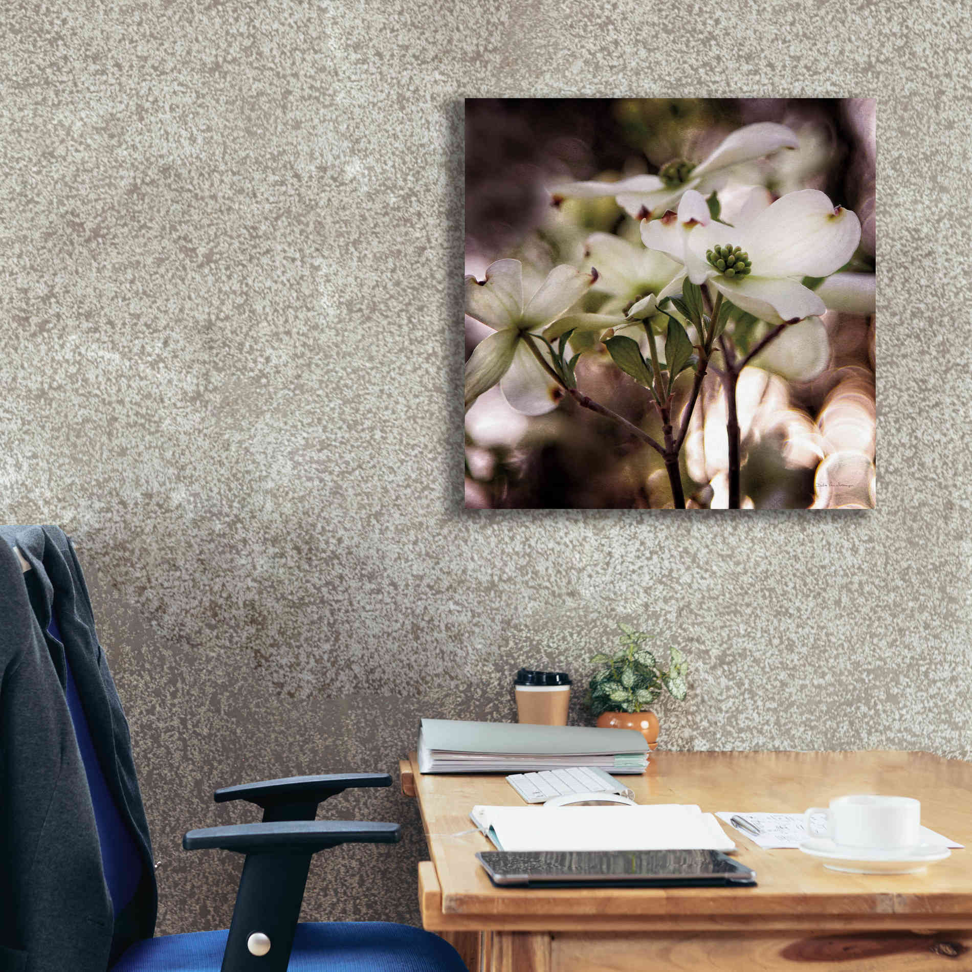 'White Dogwood II' by Debra Van Swearingen, Canvas Wall Art,26 x 26