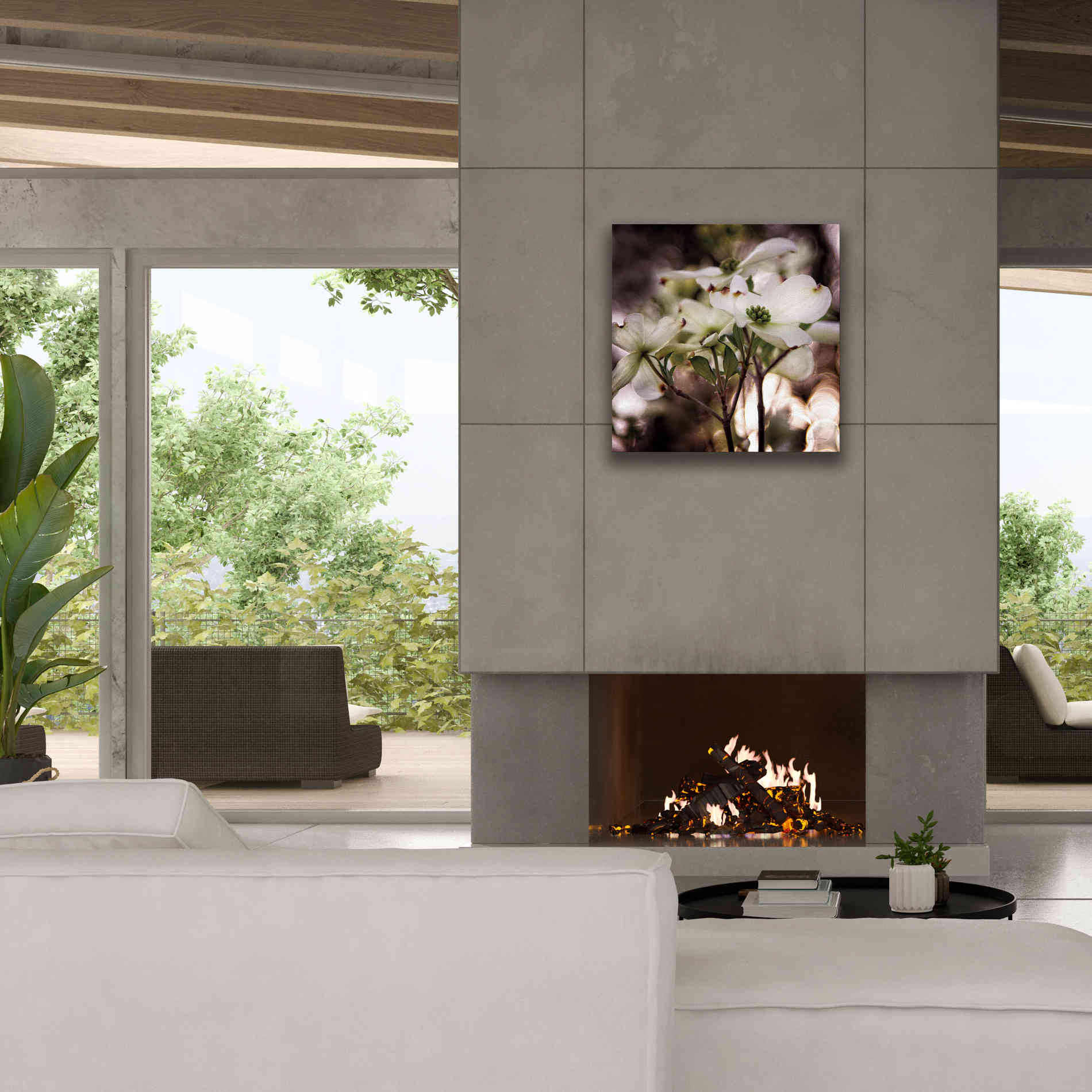 'White Dogwood II' by Debra Van Swearingen, Canvas Wall Art,26 x 26