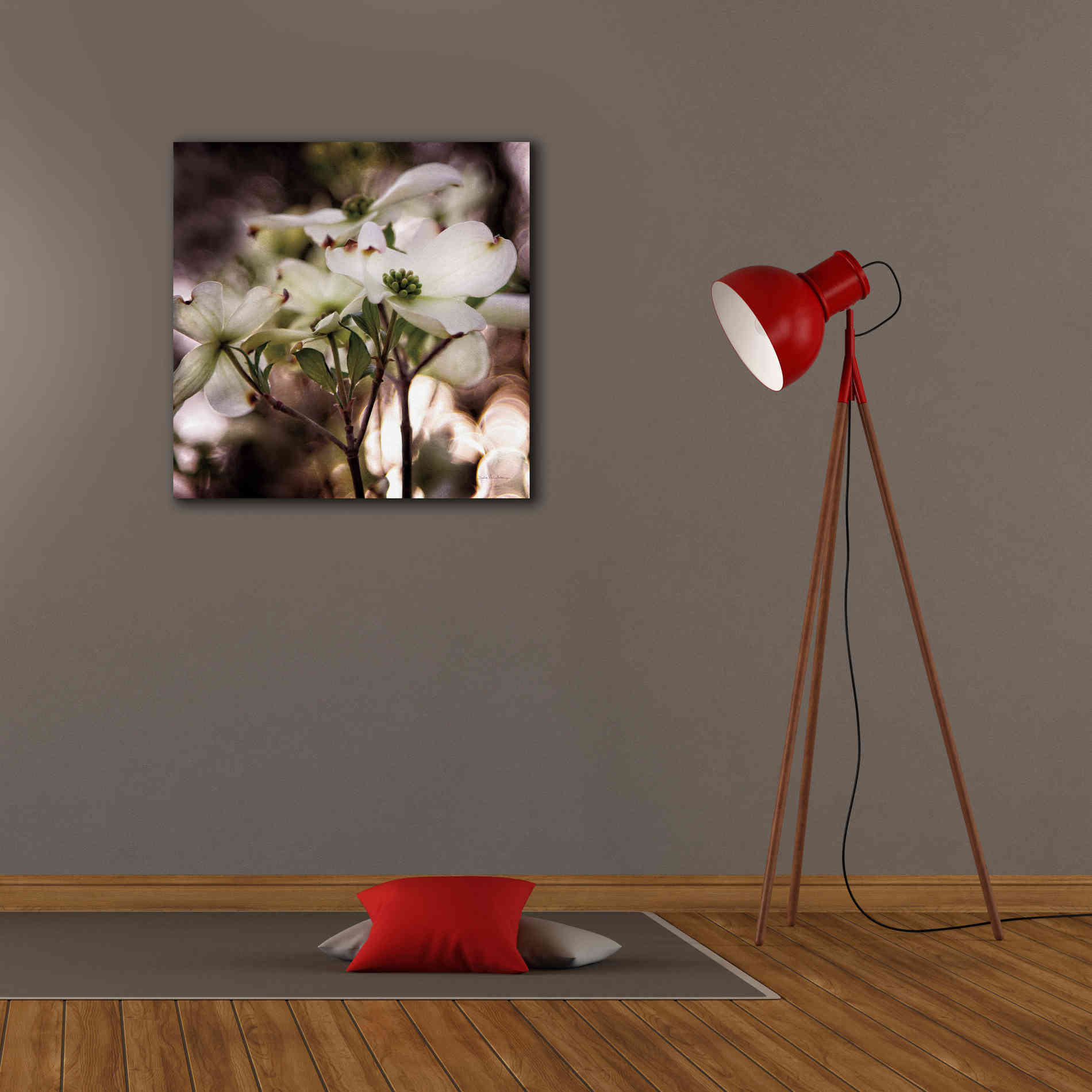 'White Dogwood II' by Debra Van Swearingen, Canvas Wall Art,26 x 26