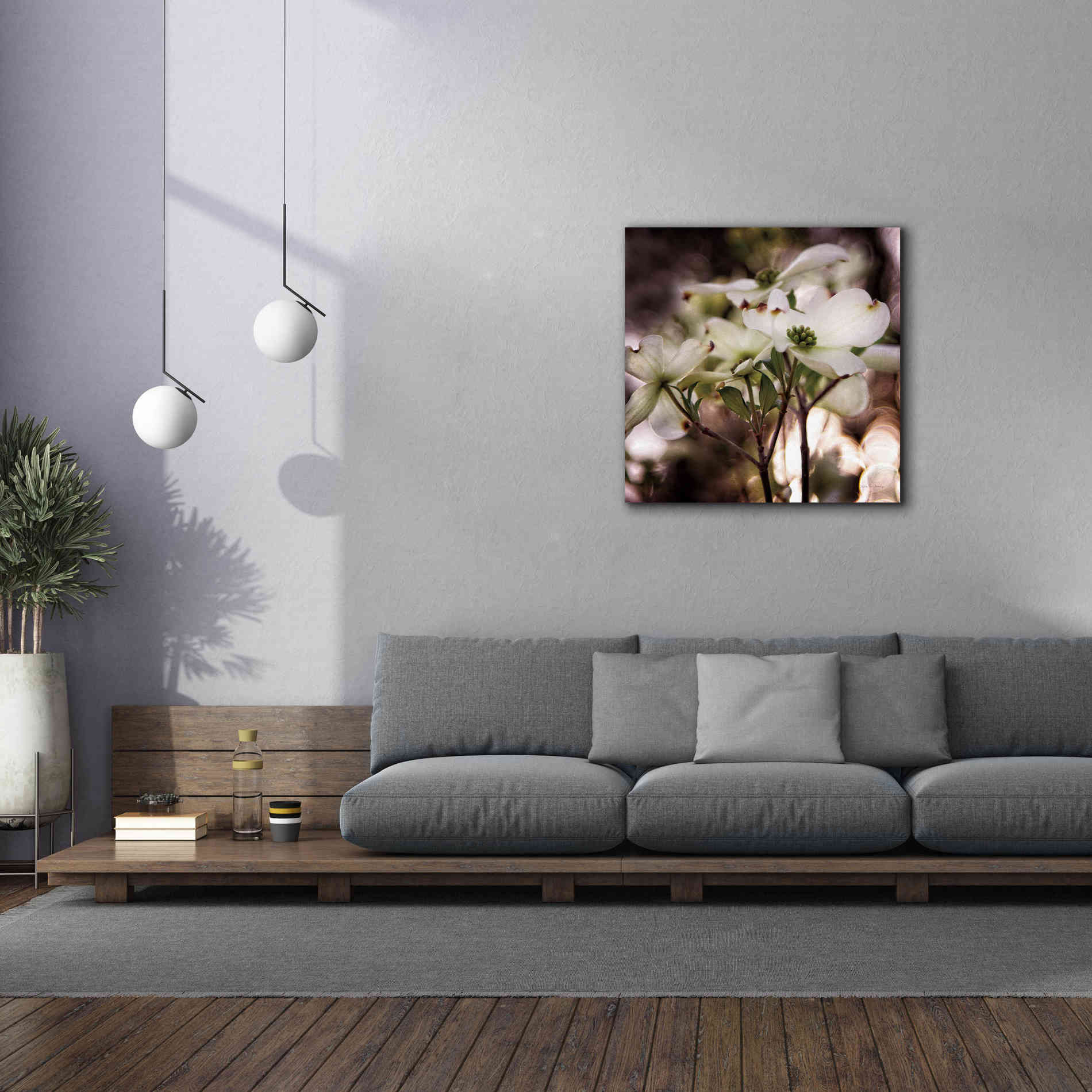 'White Dogwood II' by Debra Van Swearingen, Canvas Wall Art,37 x 37