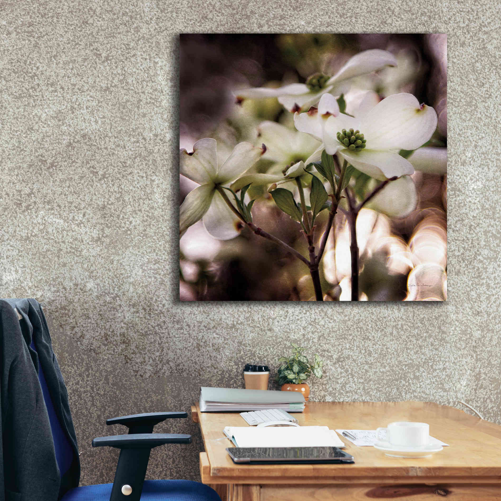 'White Dogwood II' by Debra Van Swearingen, Canvas Wall Art,37 x 37