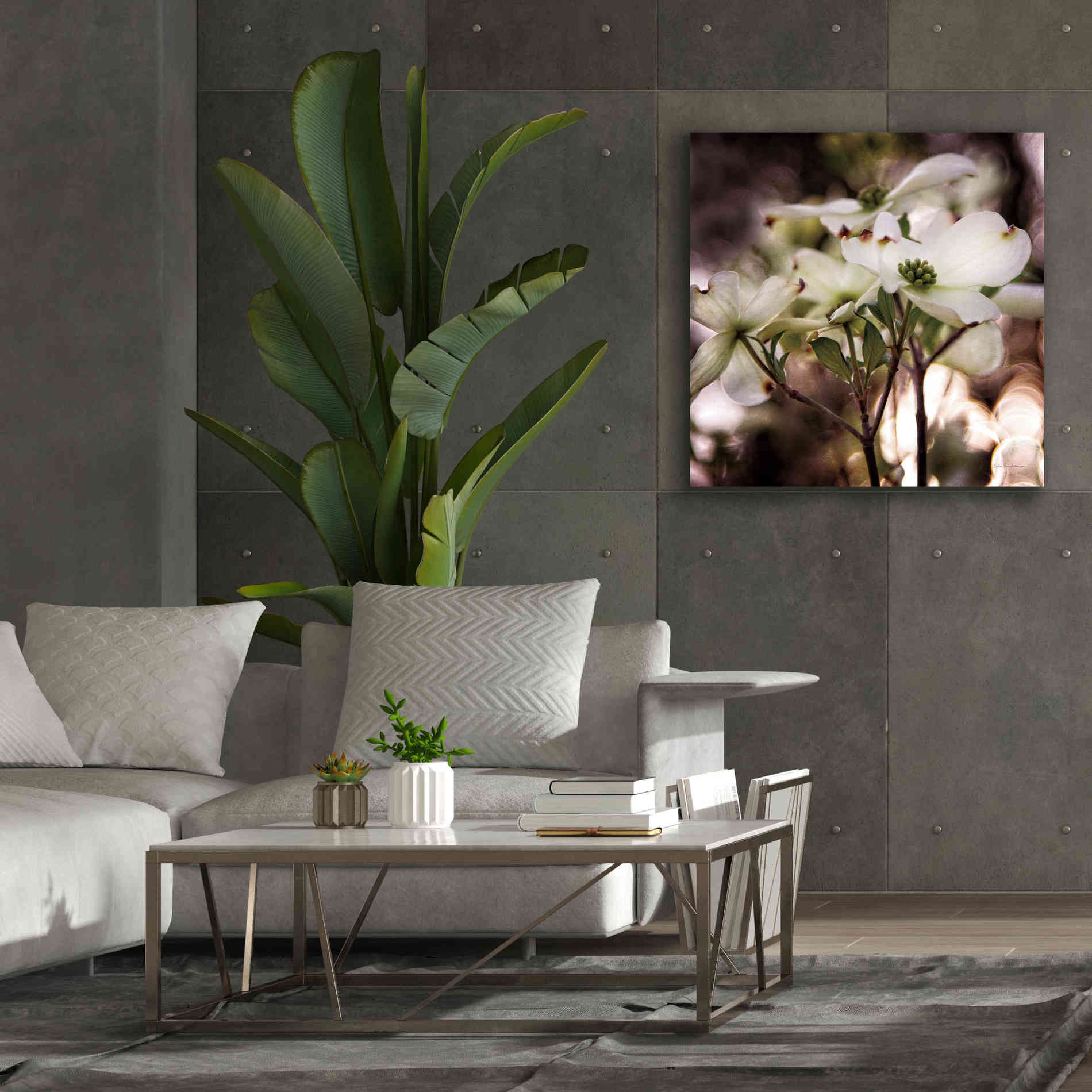 'White Dogwood II' by Debra Van Swearingen, Canvas Wall Art,37 x 37