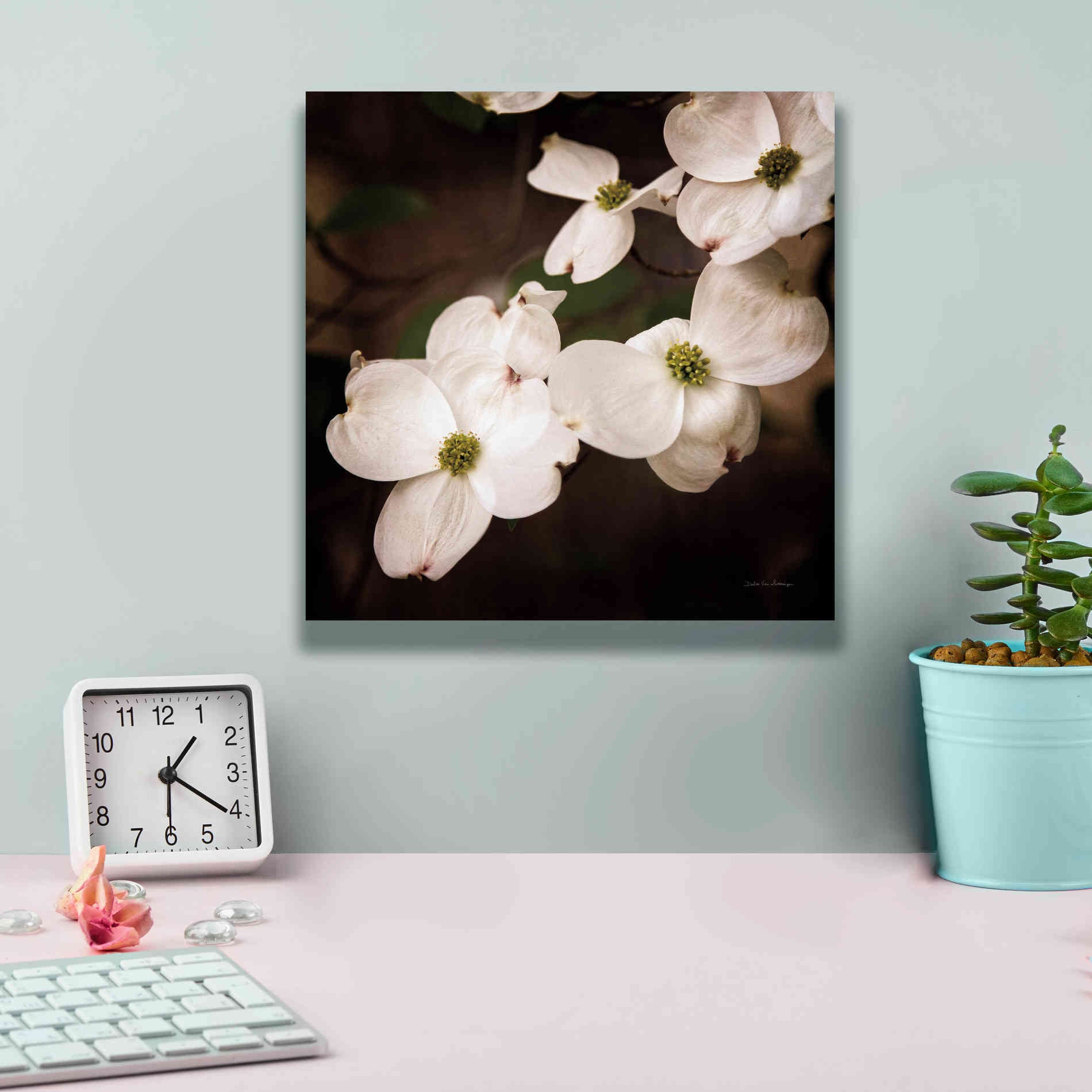 'White Dogwood III' by Debra Van Swearingen, Canvas Wall Art,12 x 12