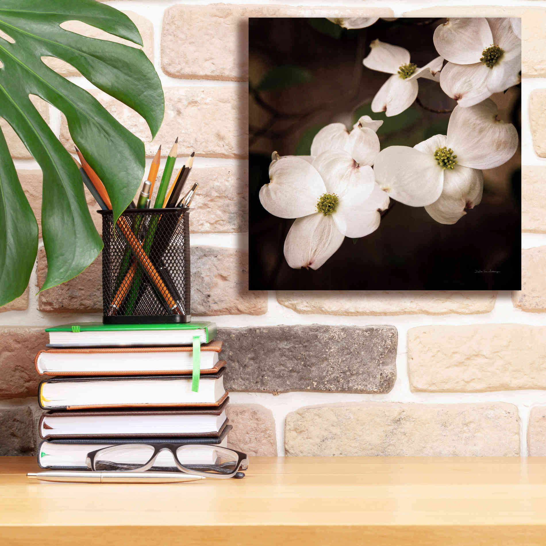 'White Dogwood III' by Debra Van Swearingen, Canvas Wall Art,12 x 12