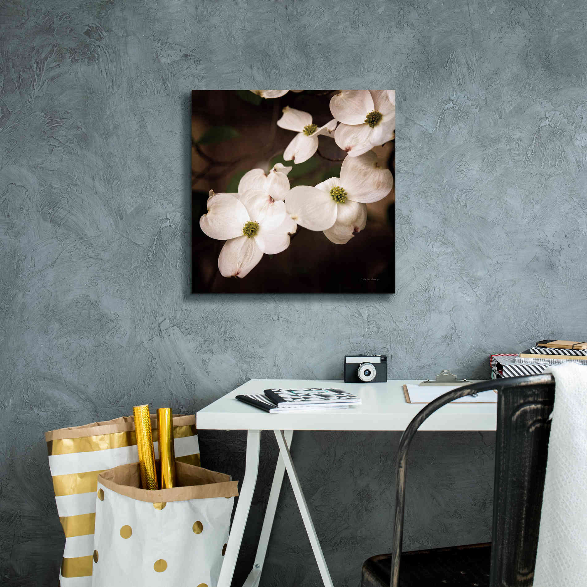 'White Dogwood III' by Debra Van Swearingen, Canvas Wall Art,18 x 18